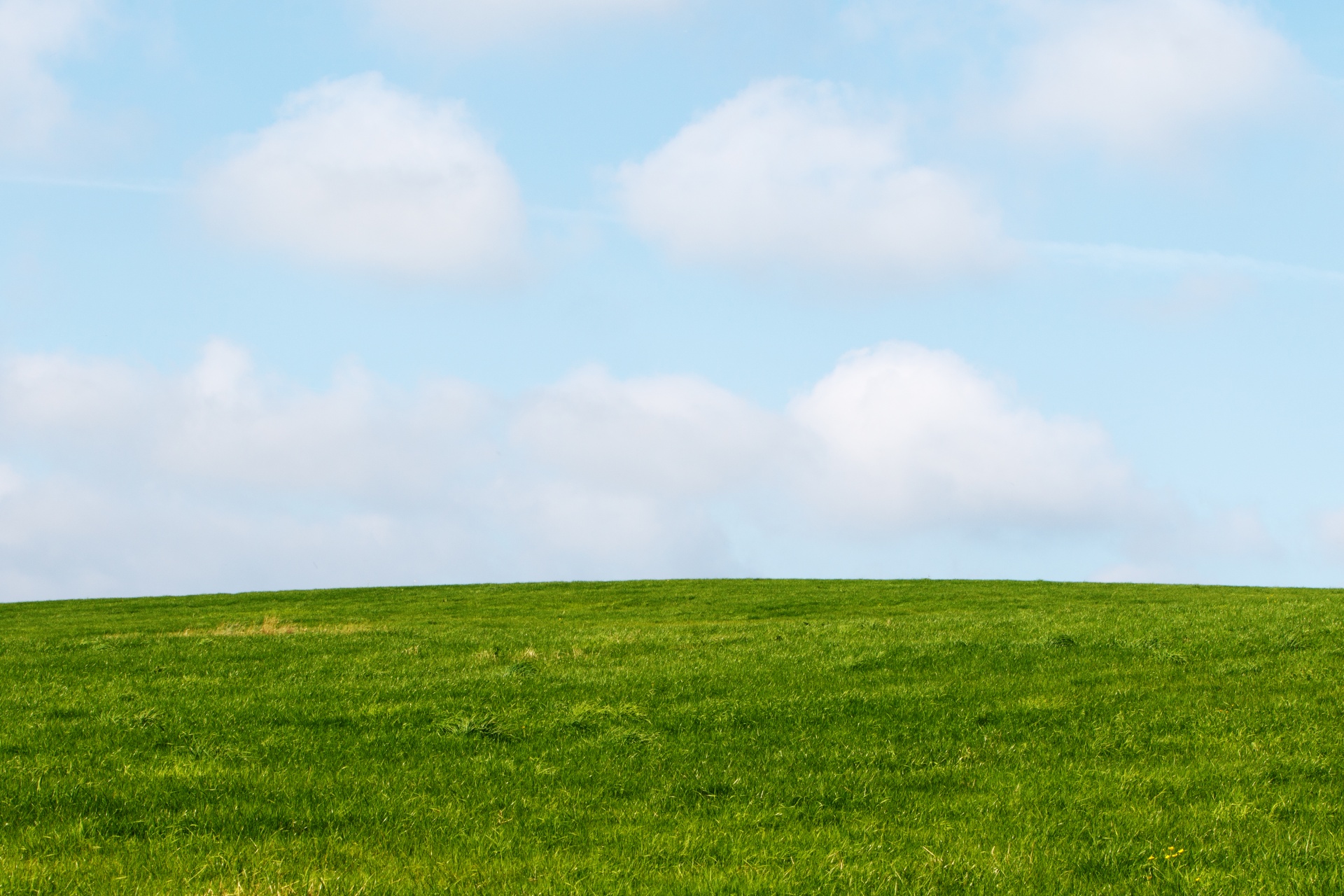 Green Grass Blue Sky Free Stock Photo - Public Domain Pictures