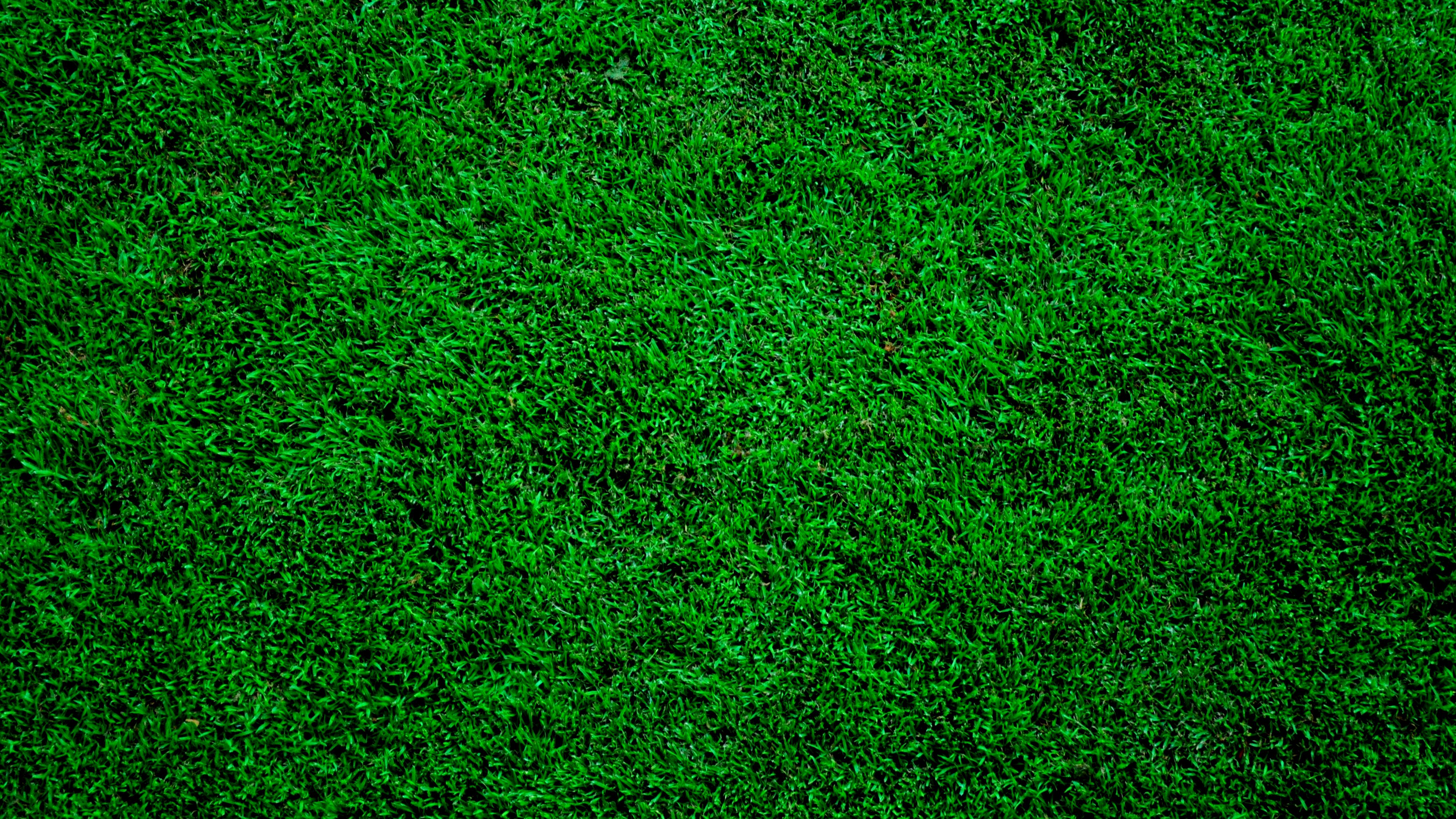 Wallpapers For > Dark Green Grass Background | Backgrounds ...