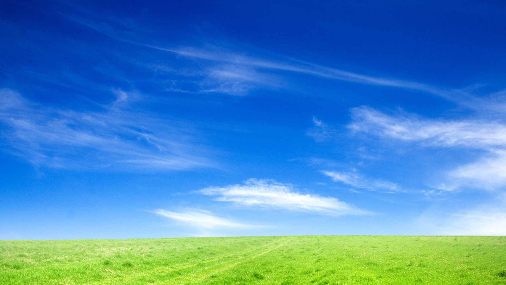 Blue Sky and Green Grass Wallpapers in jpg format for free download