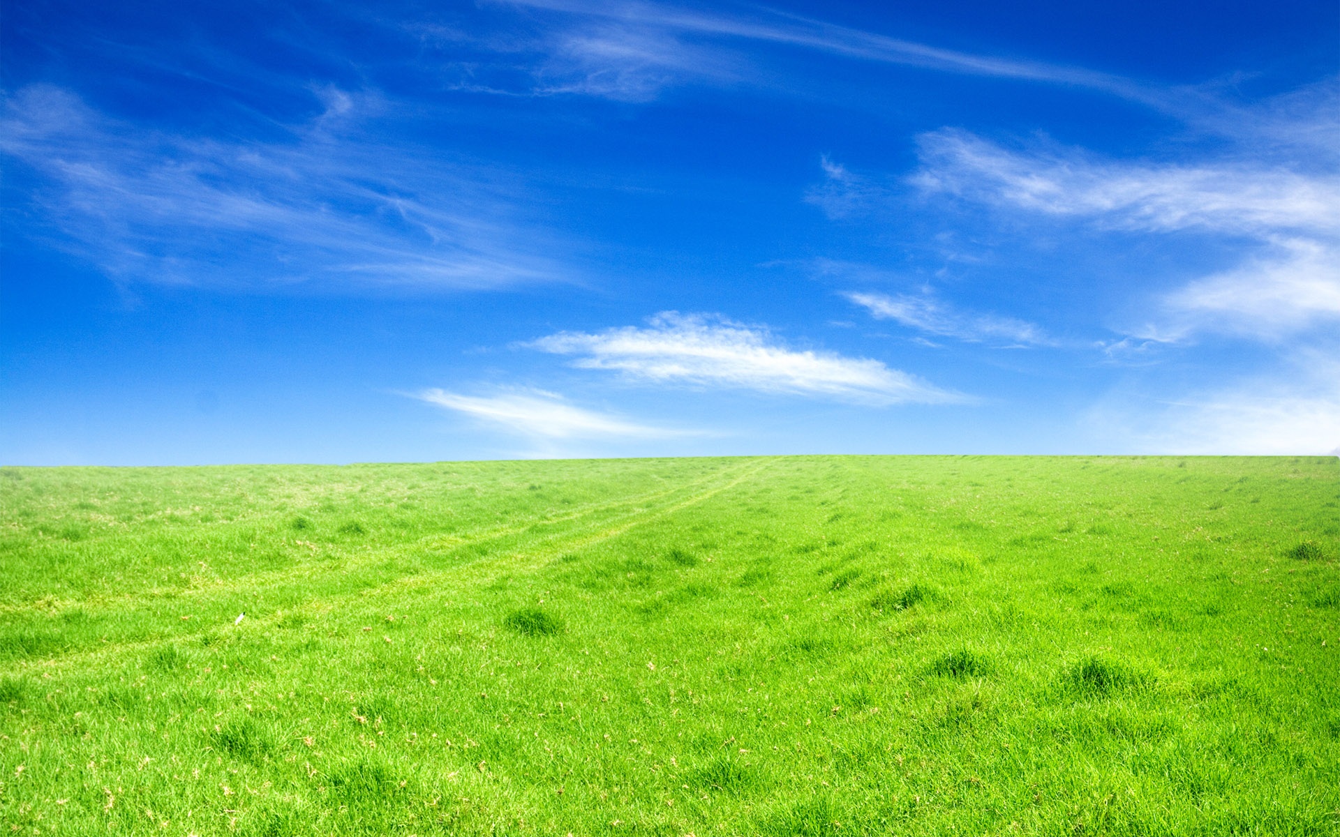 Green grass blue sky wallpaper | nature and landscape | Wallpaper Better