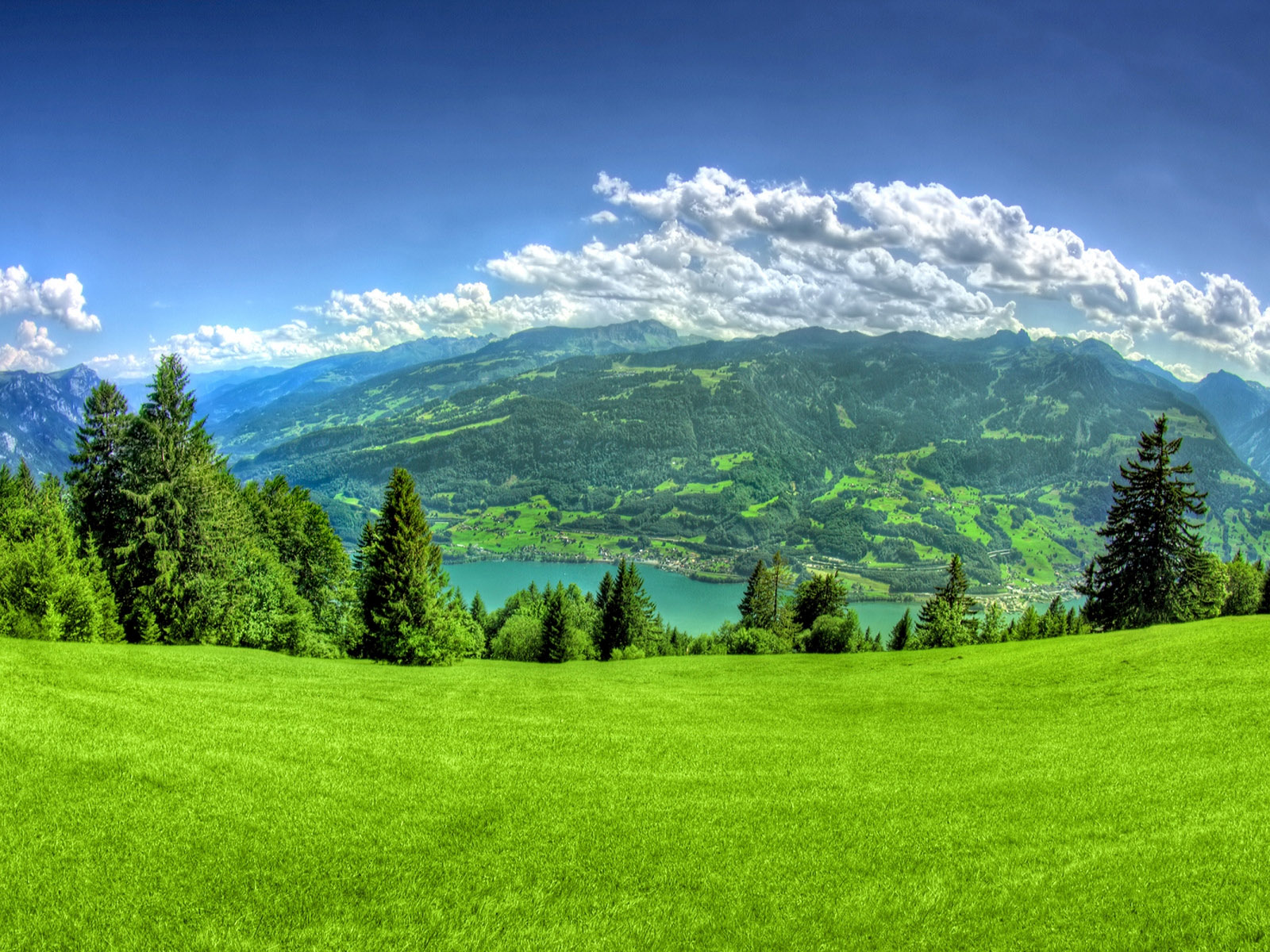 Wallpaper Green Mountain On Hd Free Download Images Of Iphone Grass ...