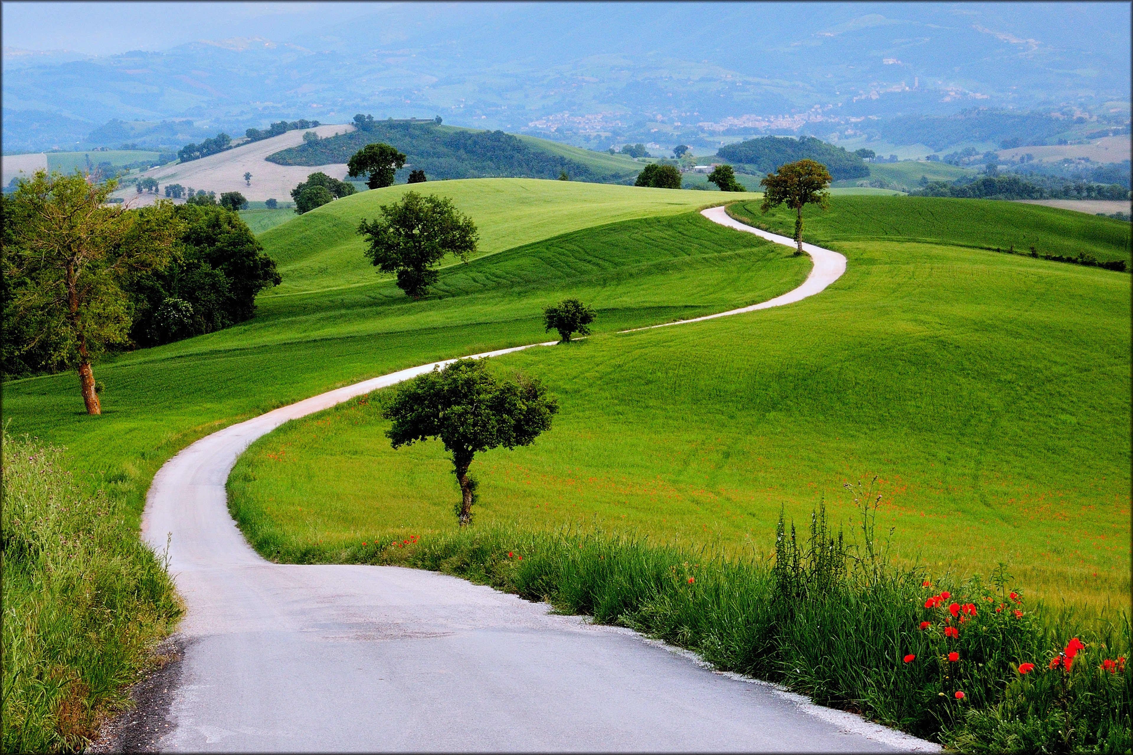 Landscapes nature earth way road path trees green grass hills spring ...
