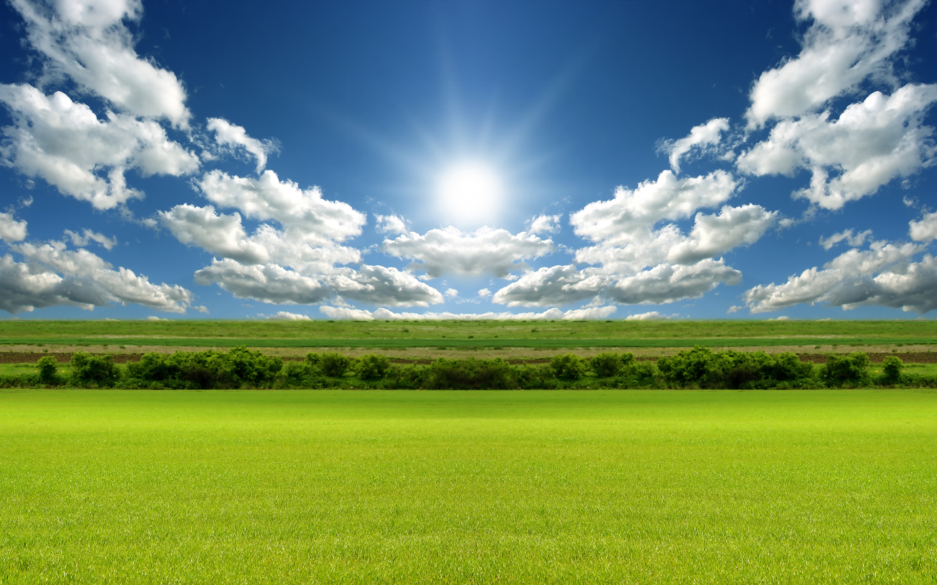 Free Photo Green Grass Field Bright Flora Fresh Free Download 