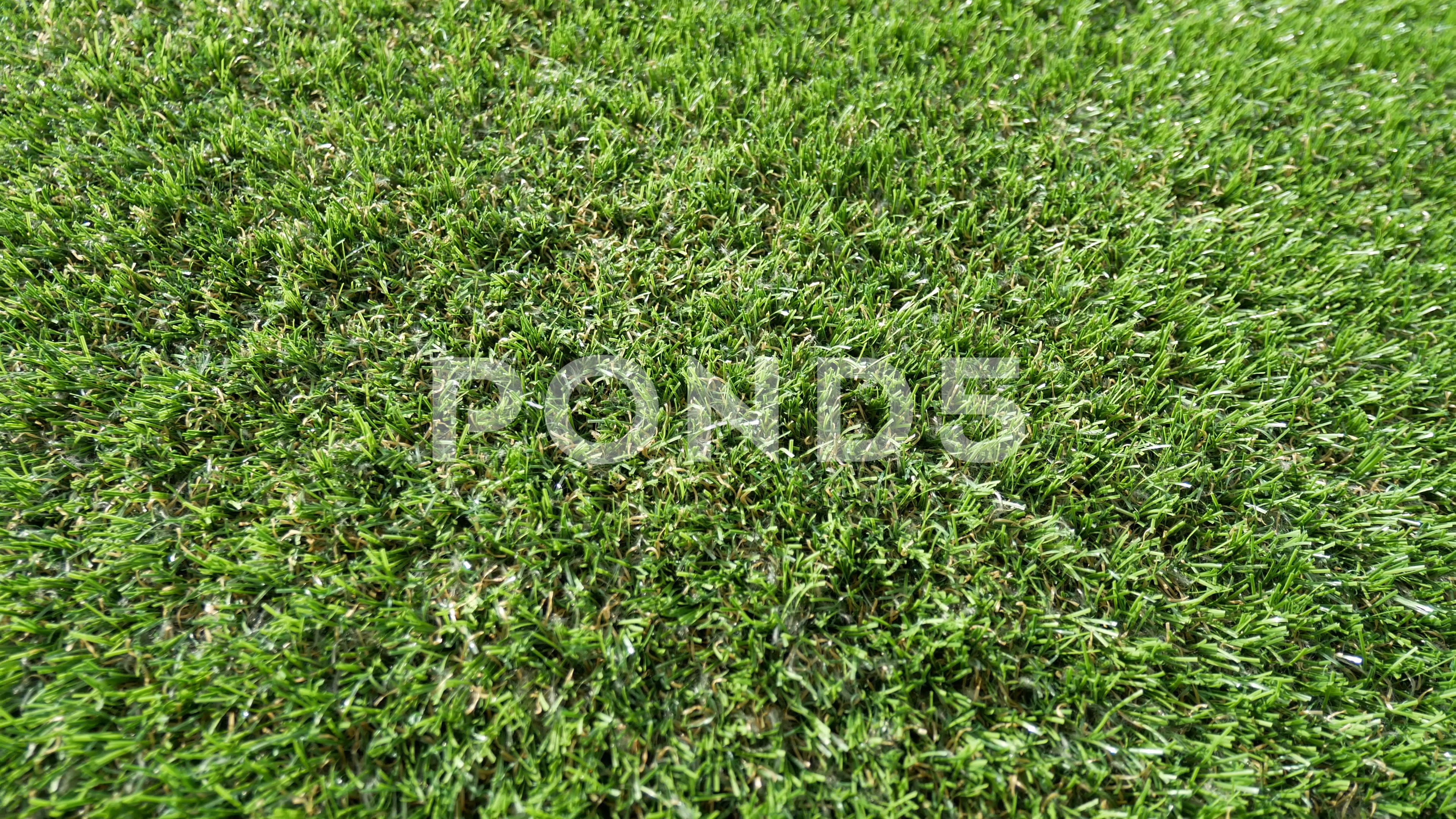 Aerial view of the green grass. ~ Stock Video #79952185