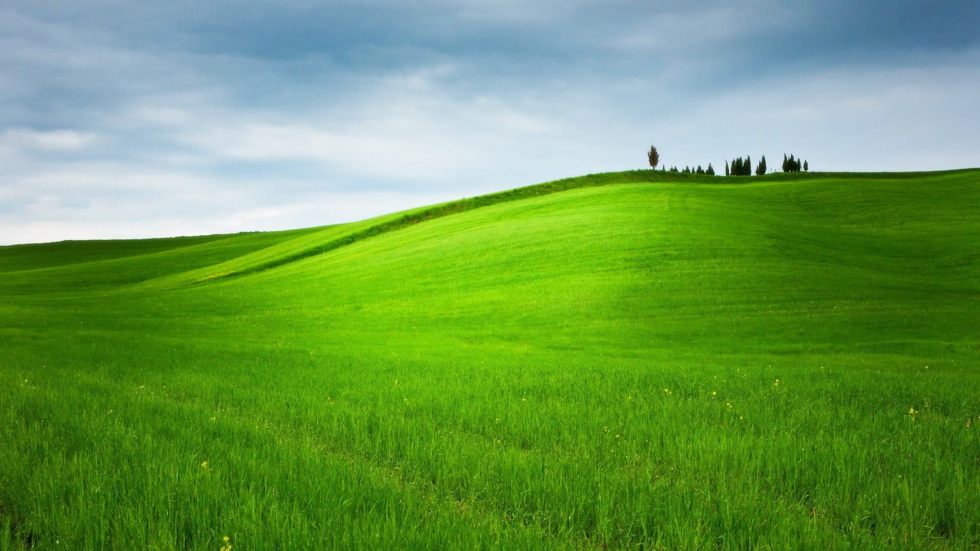 hill, Grass, Trees, Landscape, Nature, Field, Green Wallpapers HD ...
