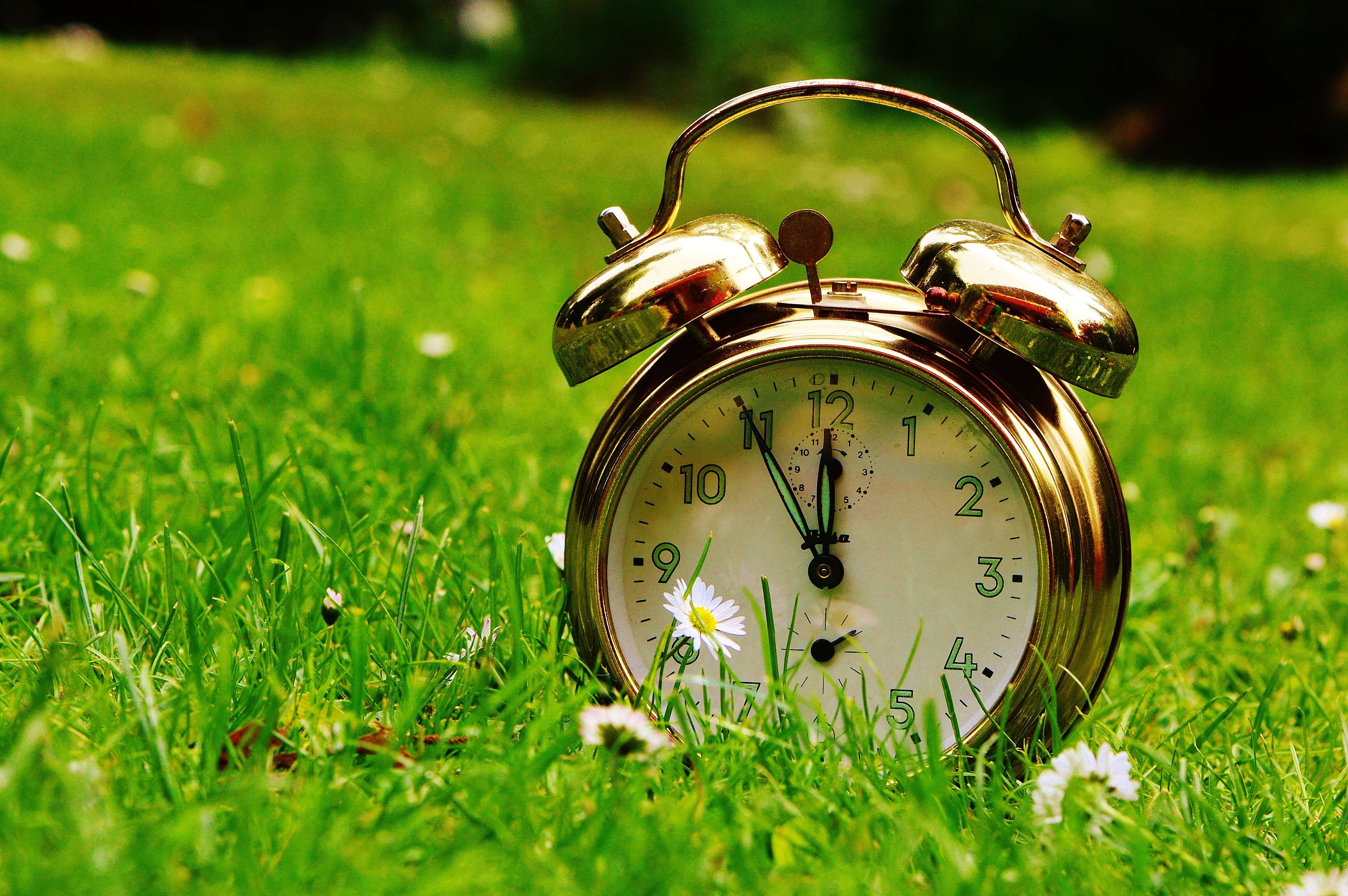 tilt shift lens photography of gold alarm clock on green grass field ...