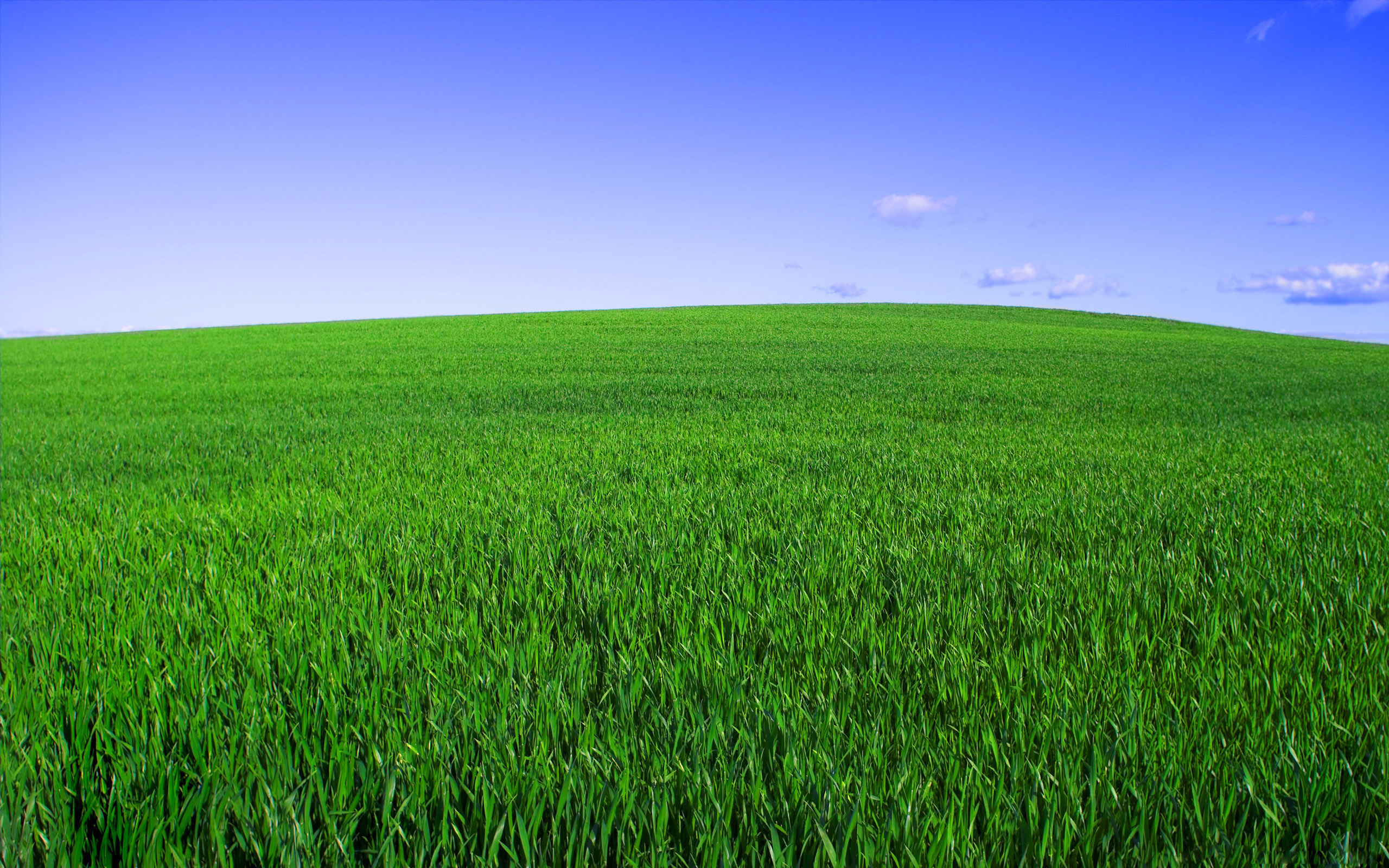 Hitman Grass Field Green Sky Horizon Landscapes 2560x1600 ...