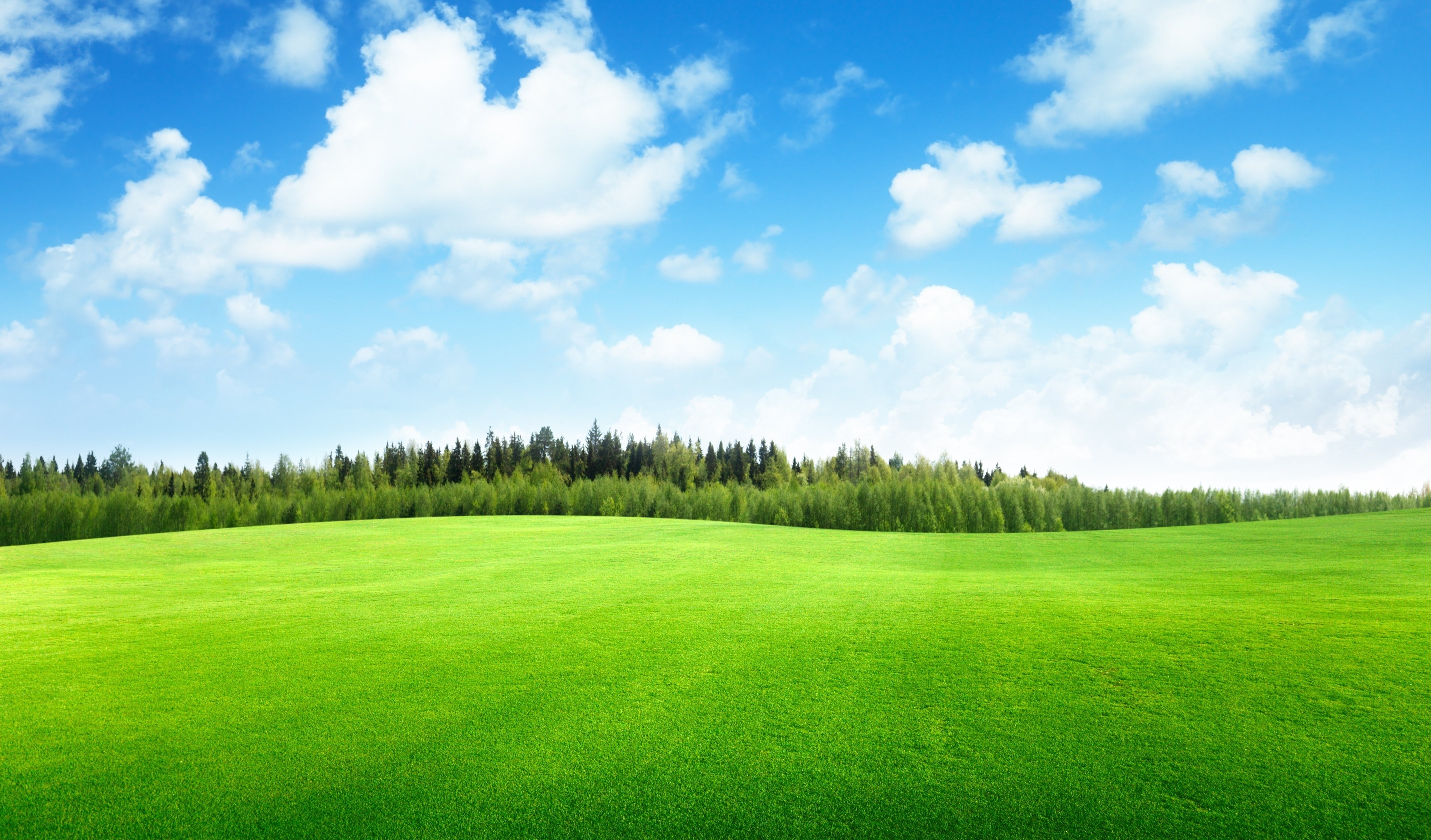 Clouds trees field of grass beautiful nature landscape sky wallpaper ...