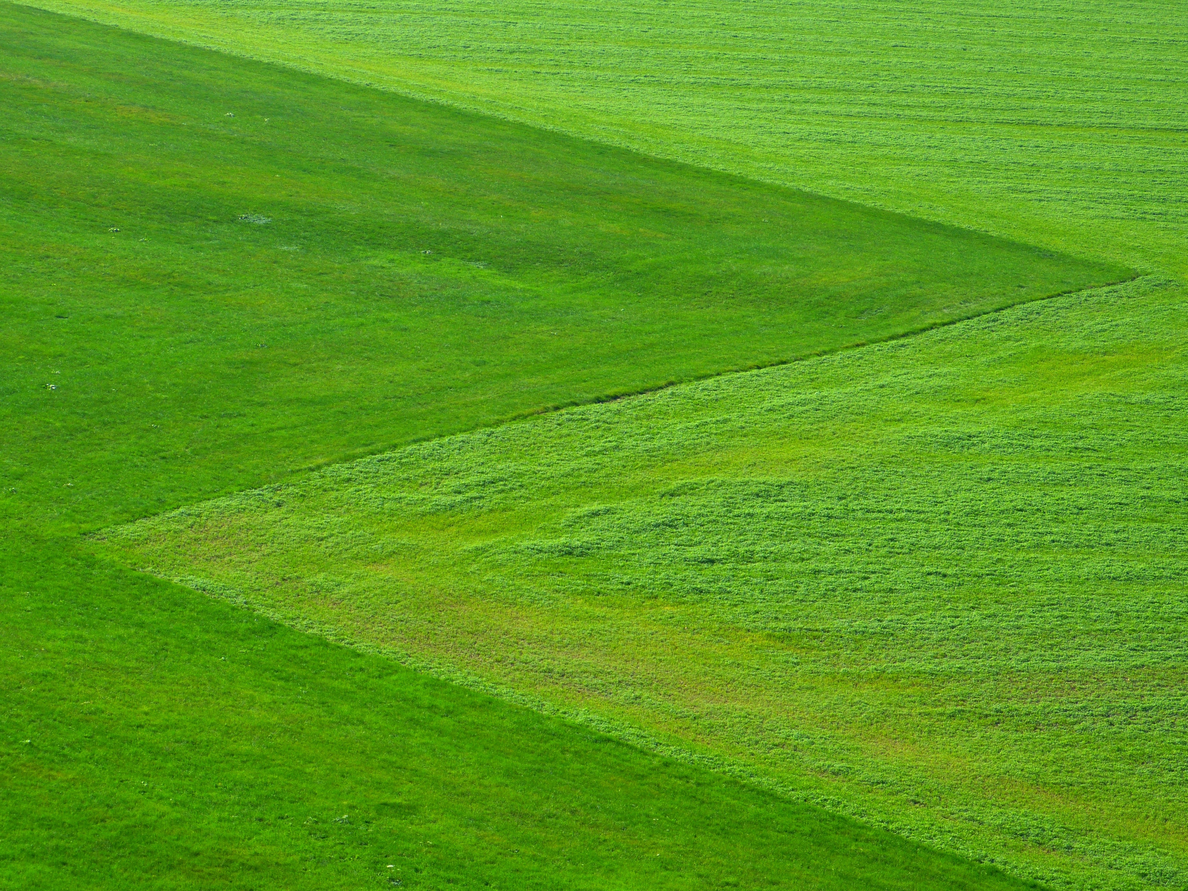 Green Grass Field · Free Stock Photo