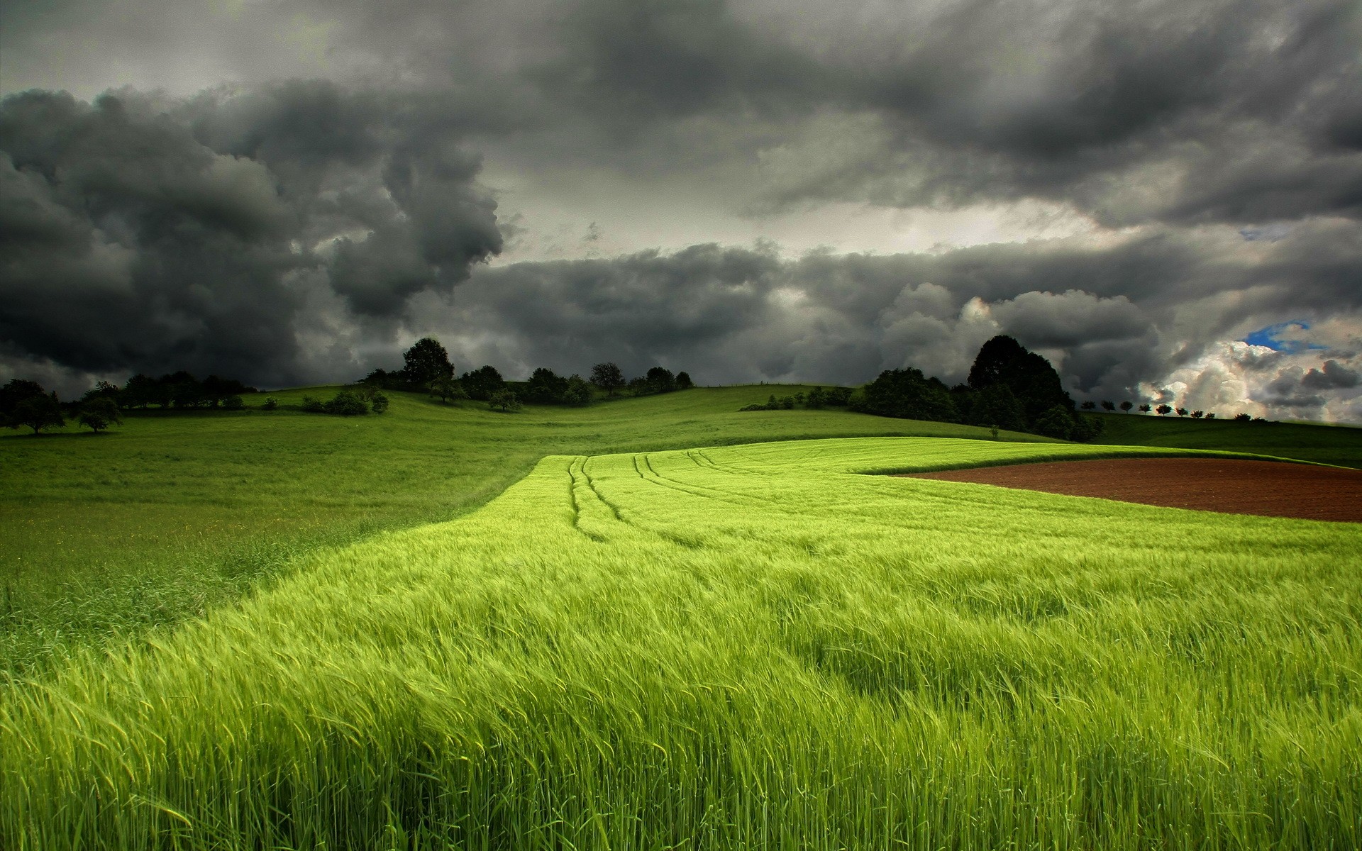 Grass Green Field & Dark Cloud wallpapers | Grass Green Field & Dark ...