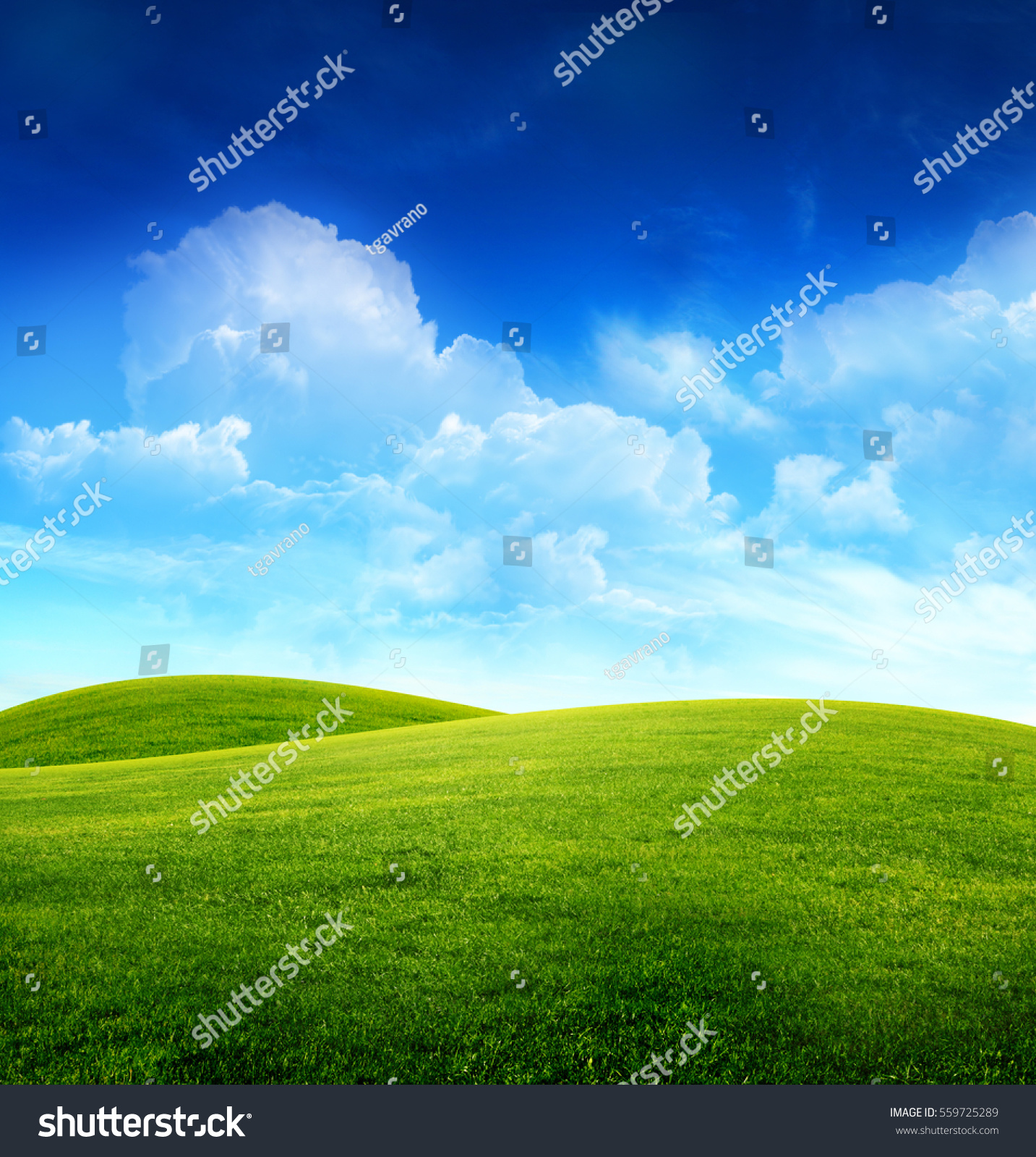 Green Grass Field On Small Hills Stock Photo (Edit Now)- Shutterstock