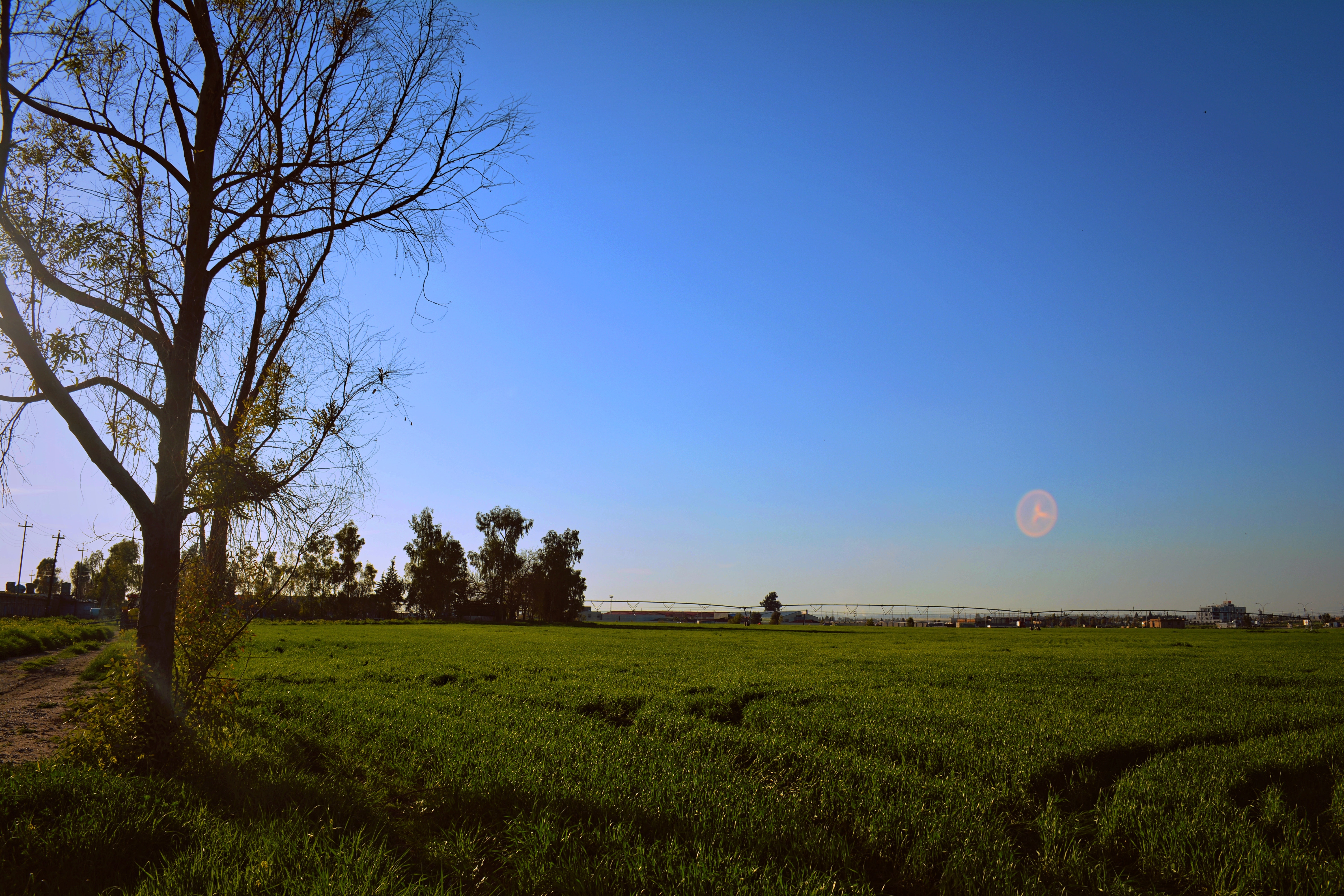 Green grassland under blue sky photo
