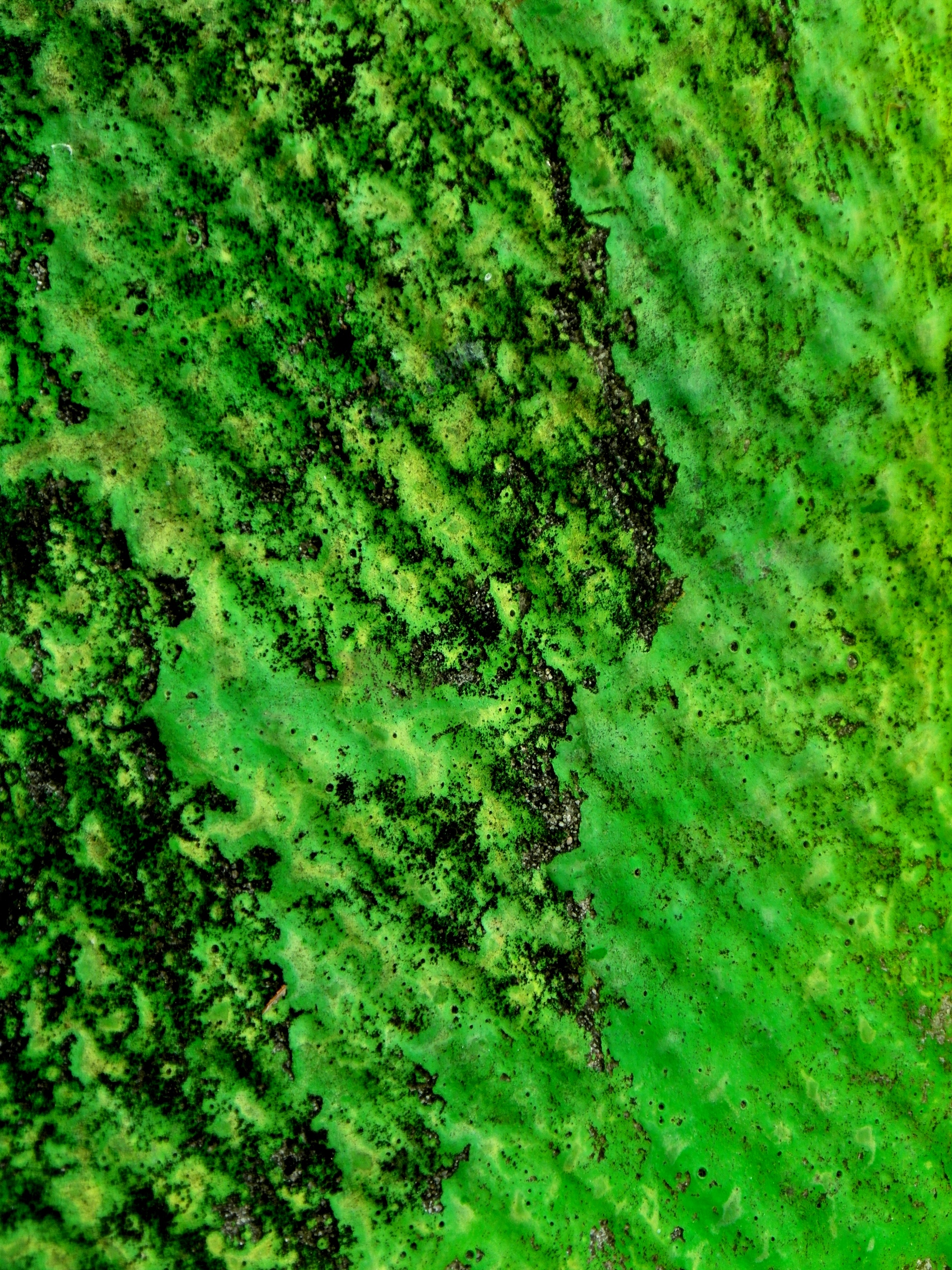 Green gunge texture photo