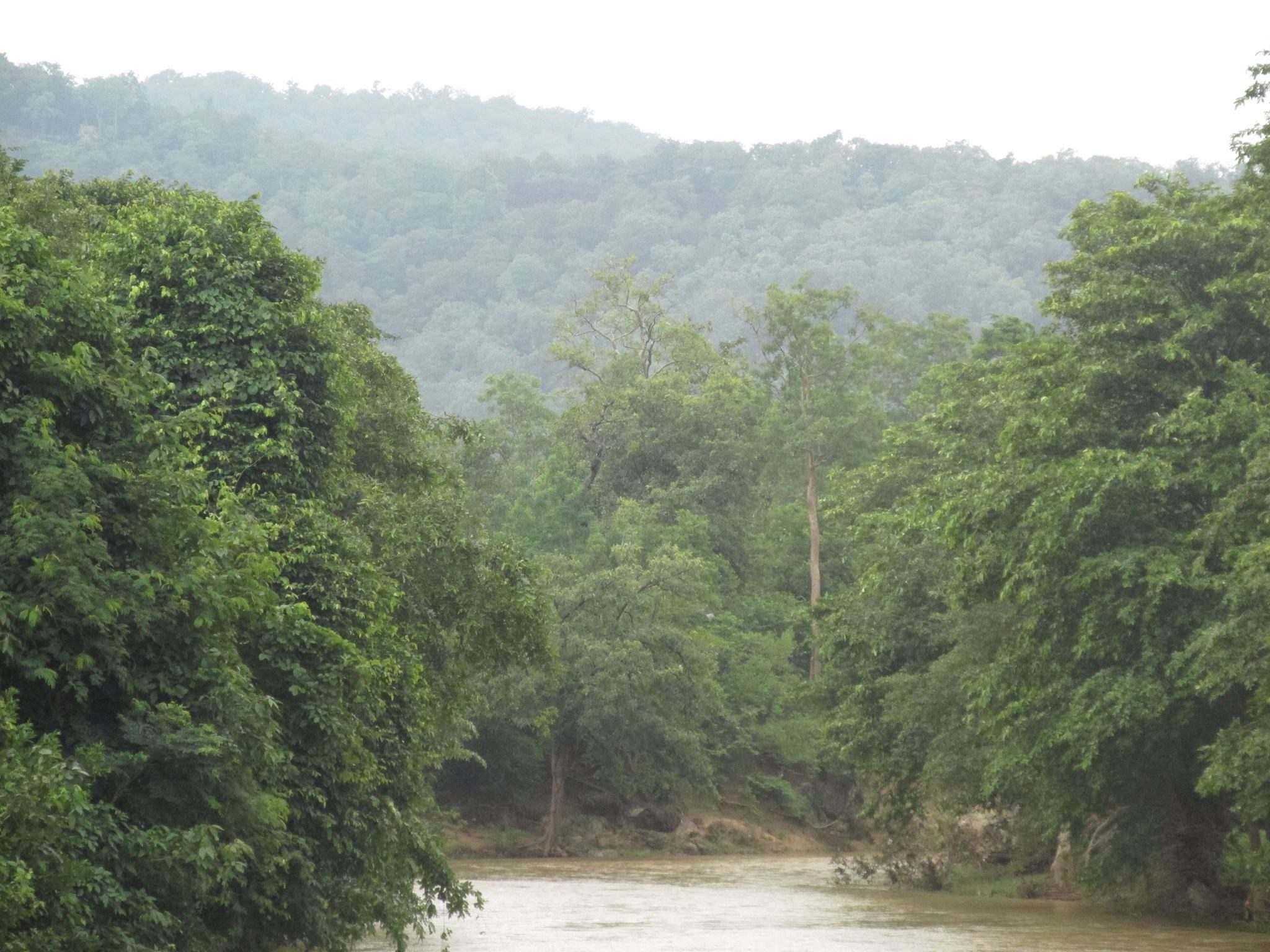 Green Hill Pic from Bastar, Green, Hill, Nature, River, HQ Photo