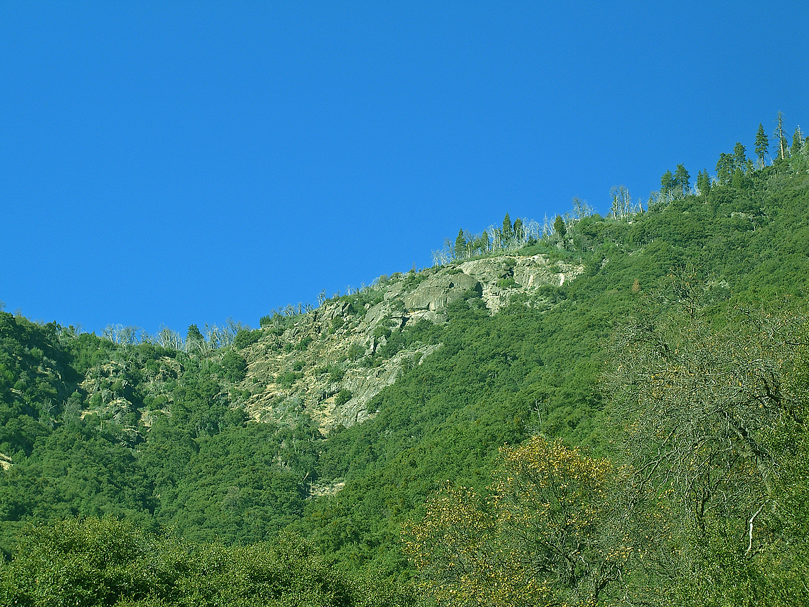 Green hillside photo