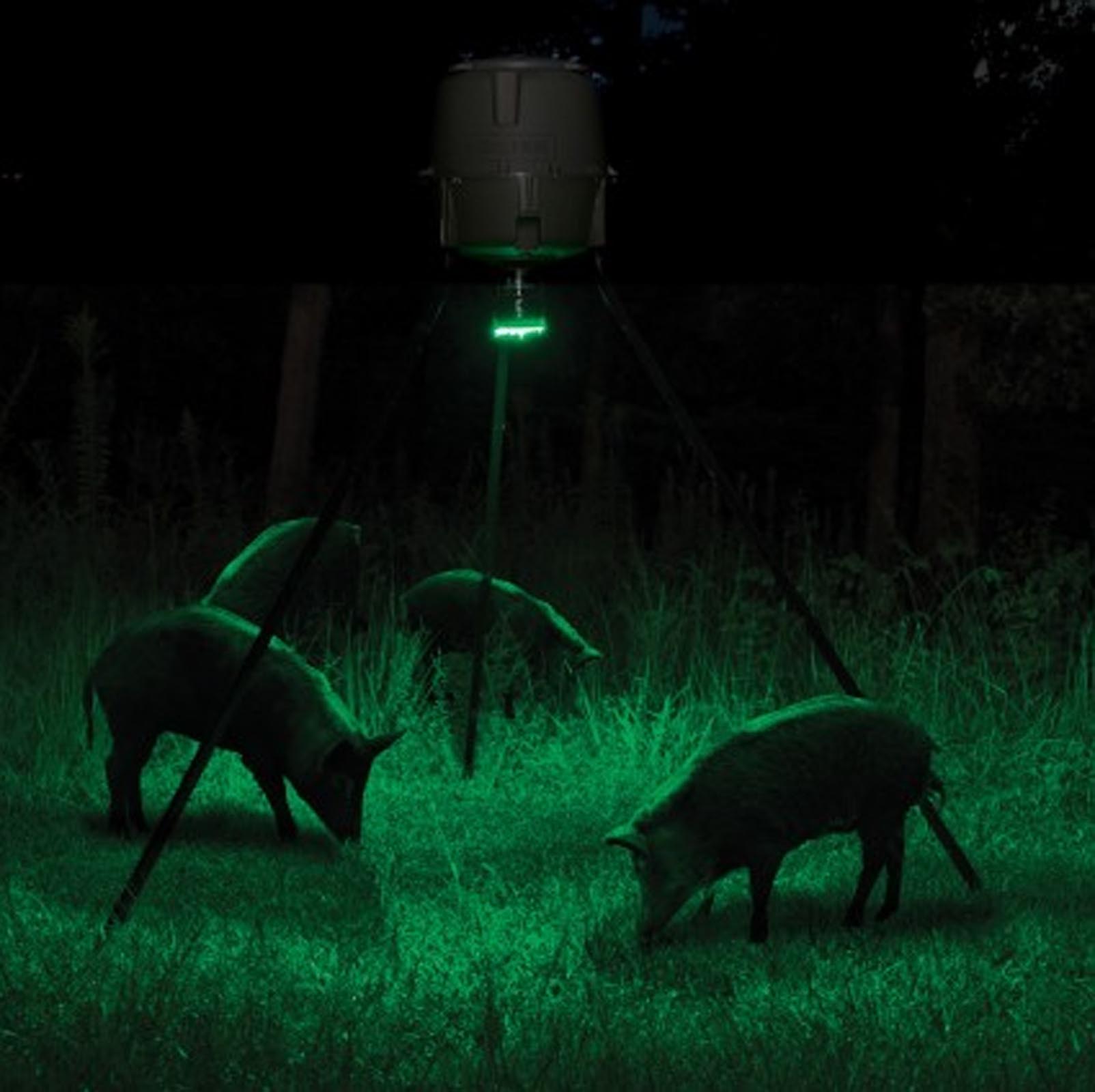 2) MOULTRIE Motion-Activated LED Feeder Hog Lights w/ 30FT Radius ...