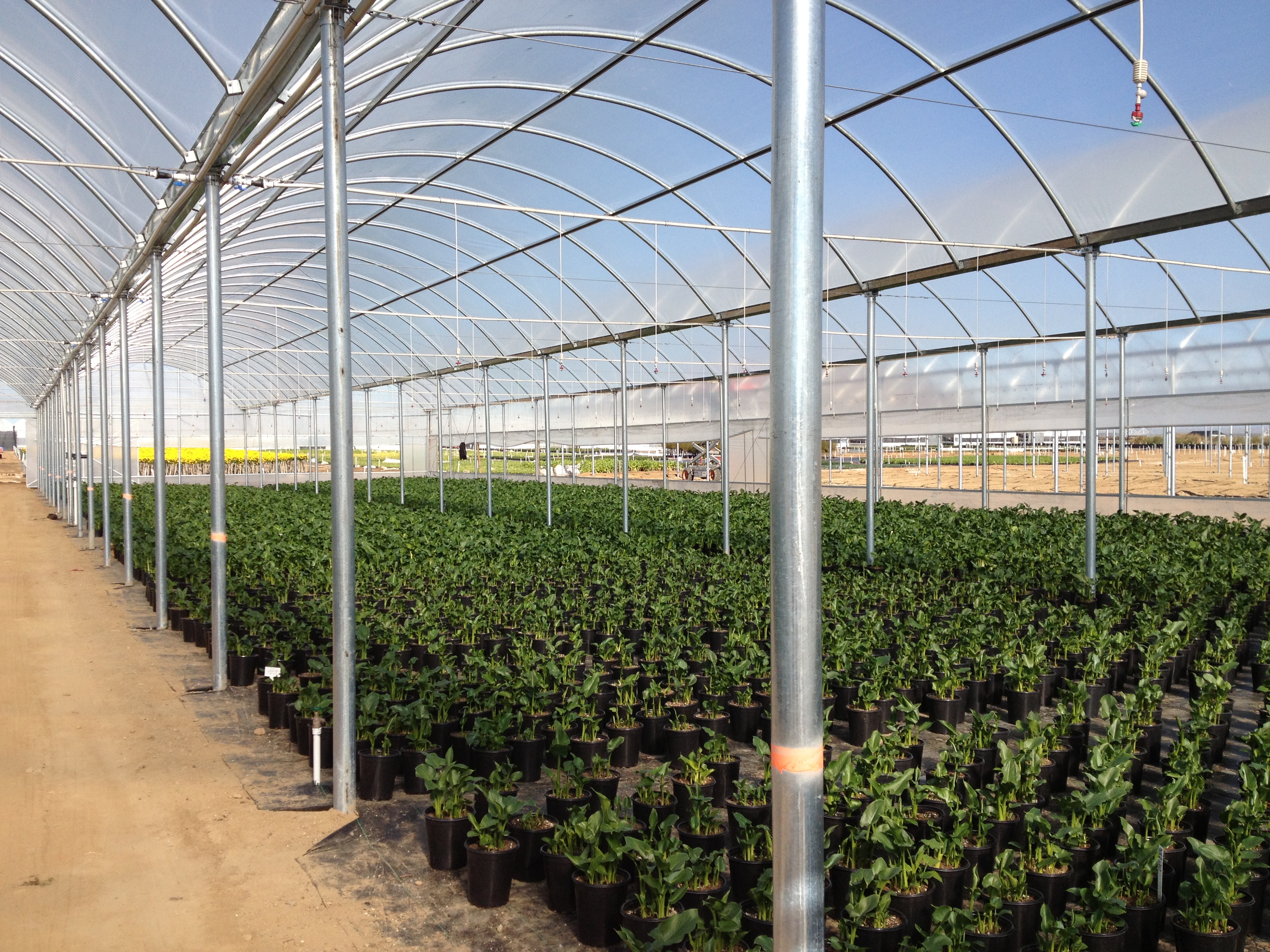 Commercial Greenhouse Manufacturer - Rough Brothers Inc