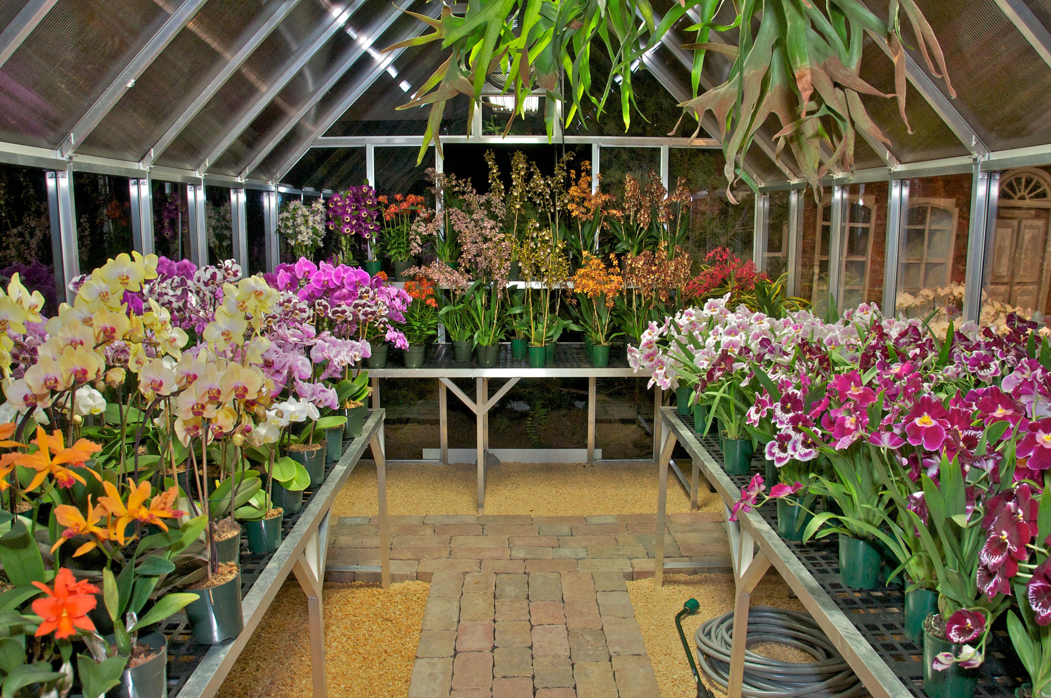 Arcadia Flower-Show-Greenhouse with Orchids | Deco | Pinterest ...