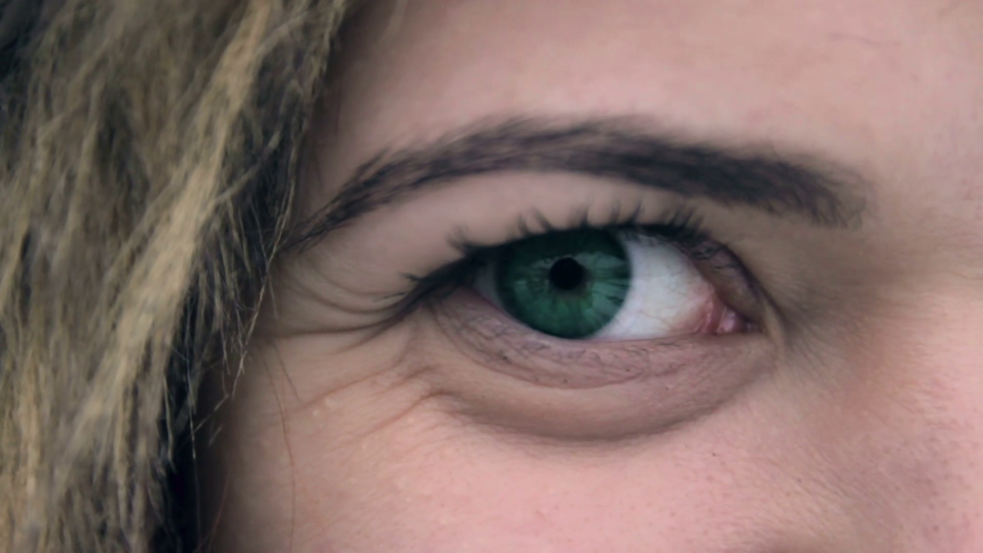 Green Human Eye. Close-up of eye blinking Stock Video Footage ...