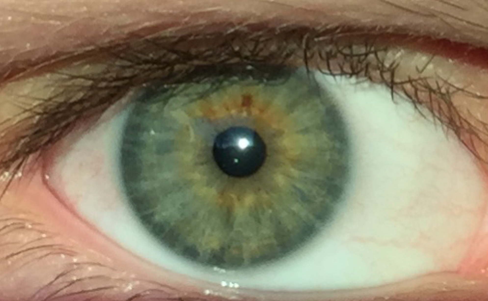 File:Green Eyes Human.png - Wikimedia Commons