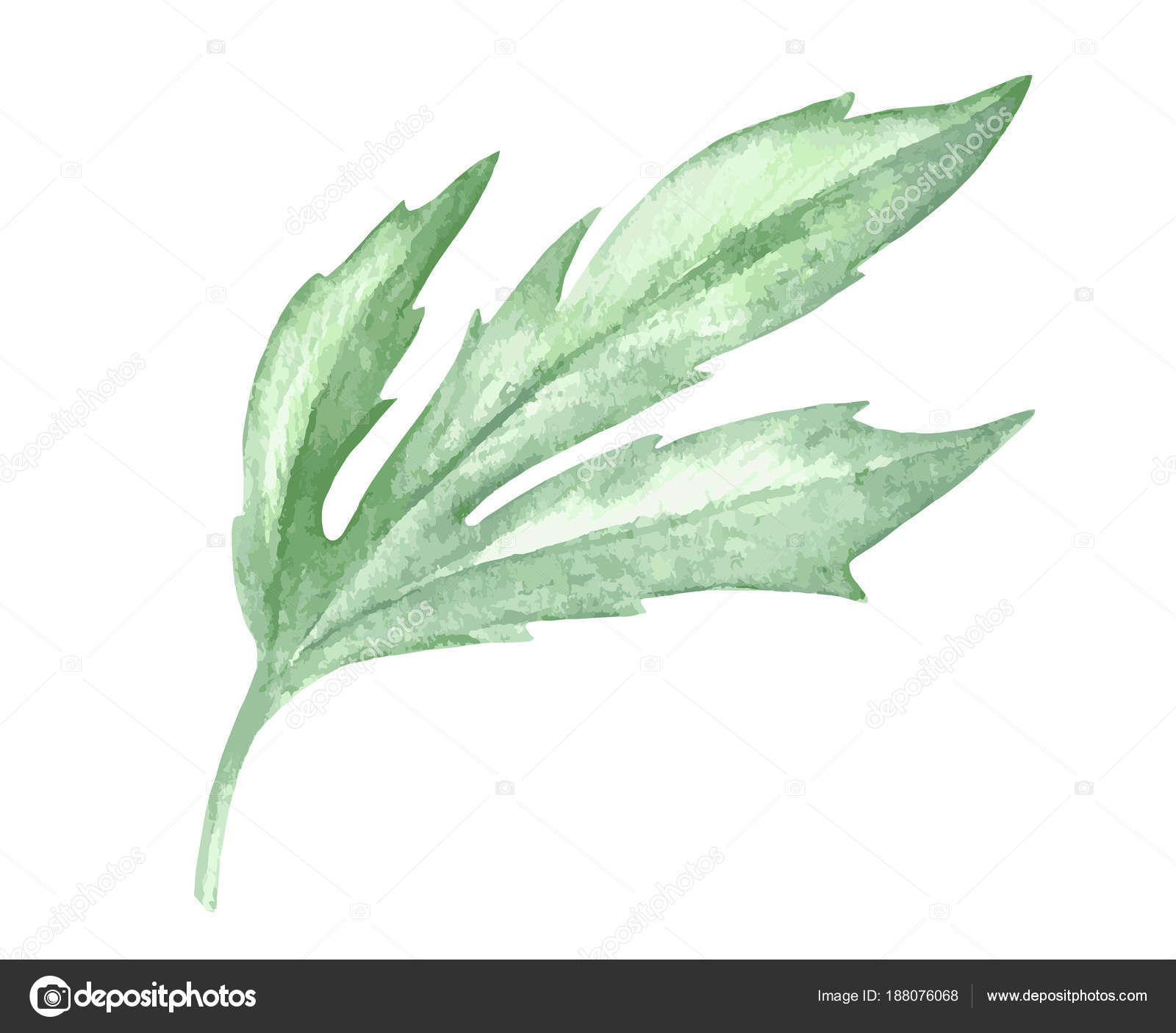 Watercolor green leaf plant deocration on white background — Stock ...