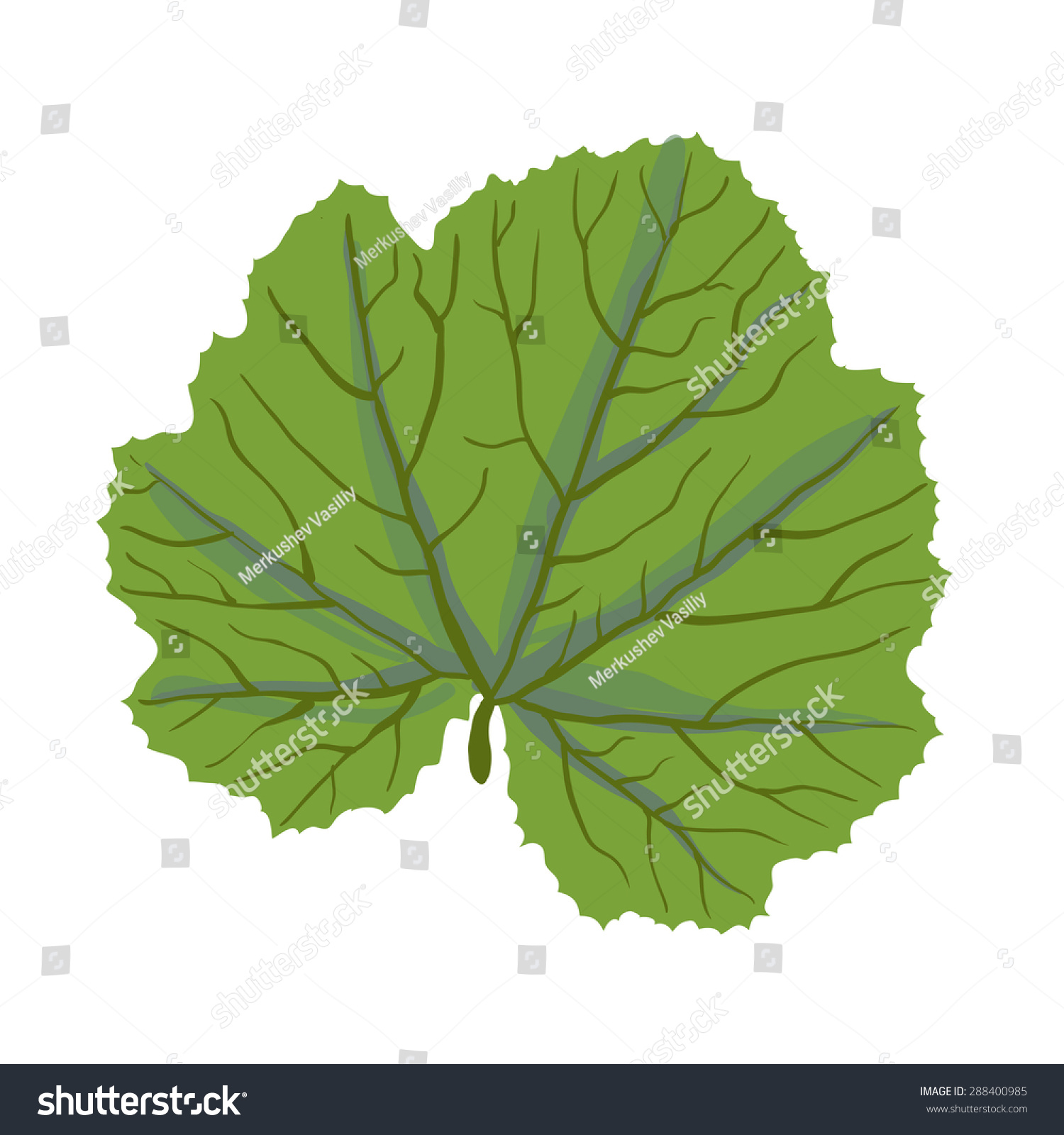 Green Leaf Plant Isolated On White Stock Vector 288400985 - Shutterstock