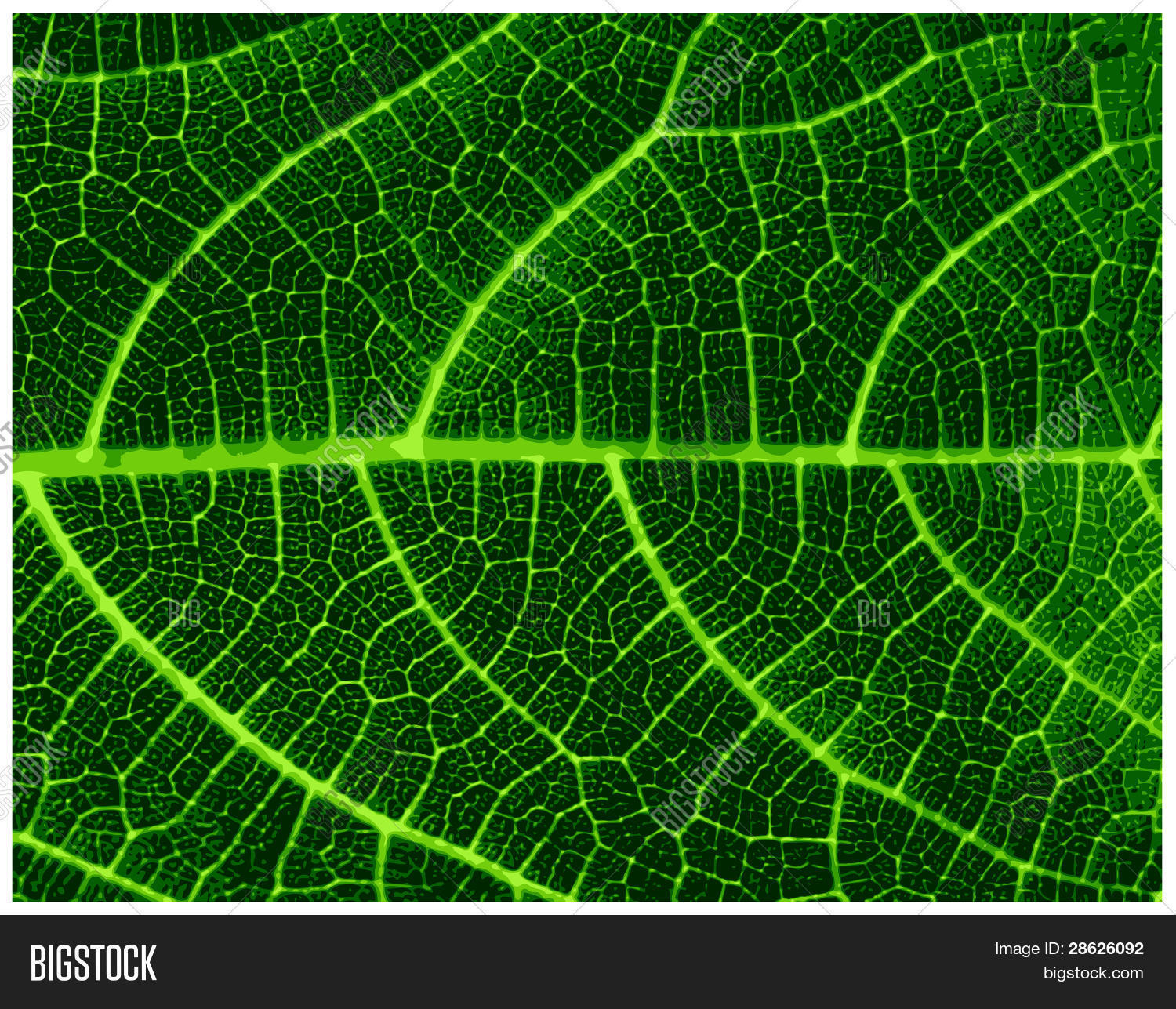 Green Leaf Texture Vector Vector & Photo | Bigstock