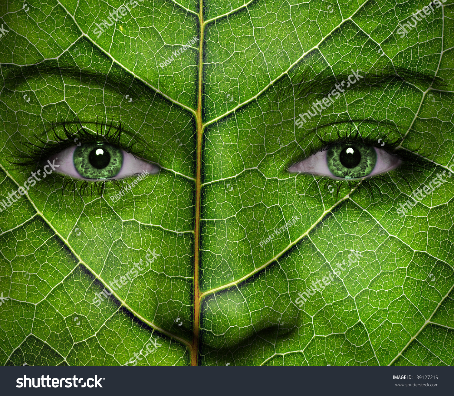 Woman Face Leaf Texture Green Eyes Stock Photo (Royalty Free ...
