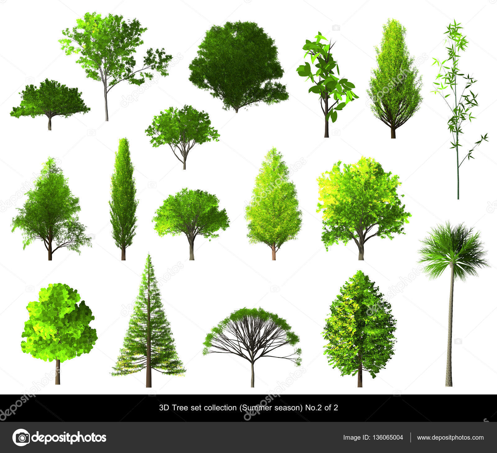 Green leaf Tree summer season set for architecture landscape design ...