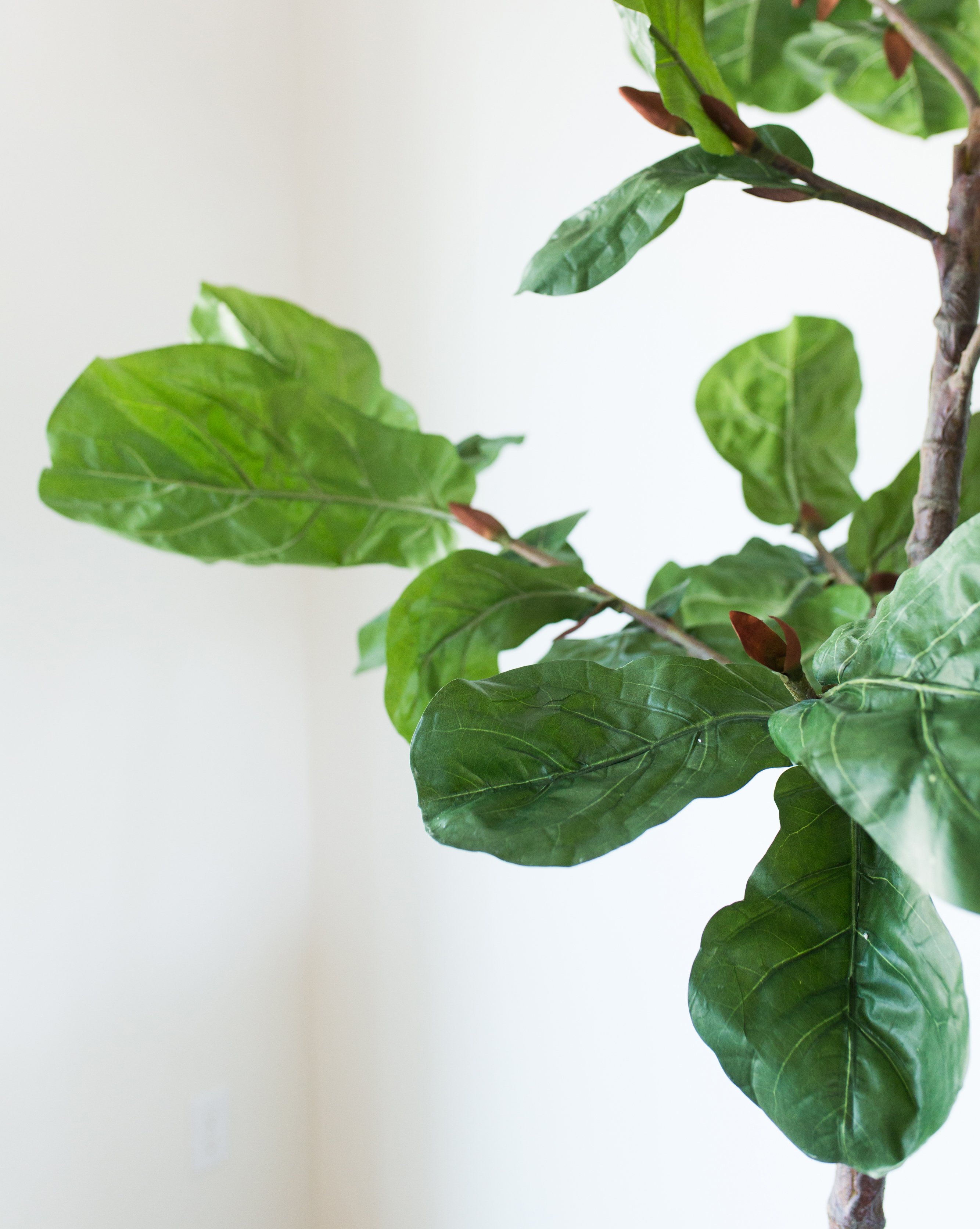 Faux Potted Fiddle Leaf Tree – McGee & Co.