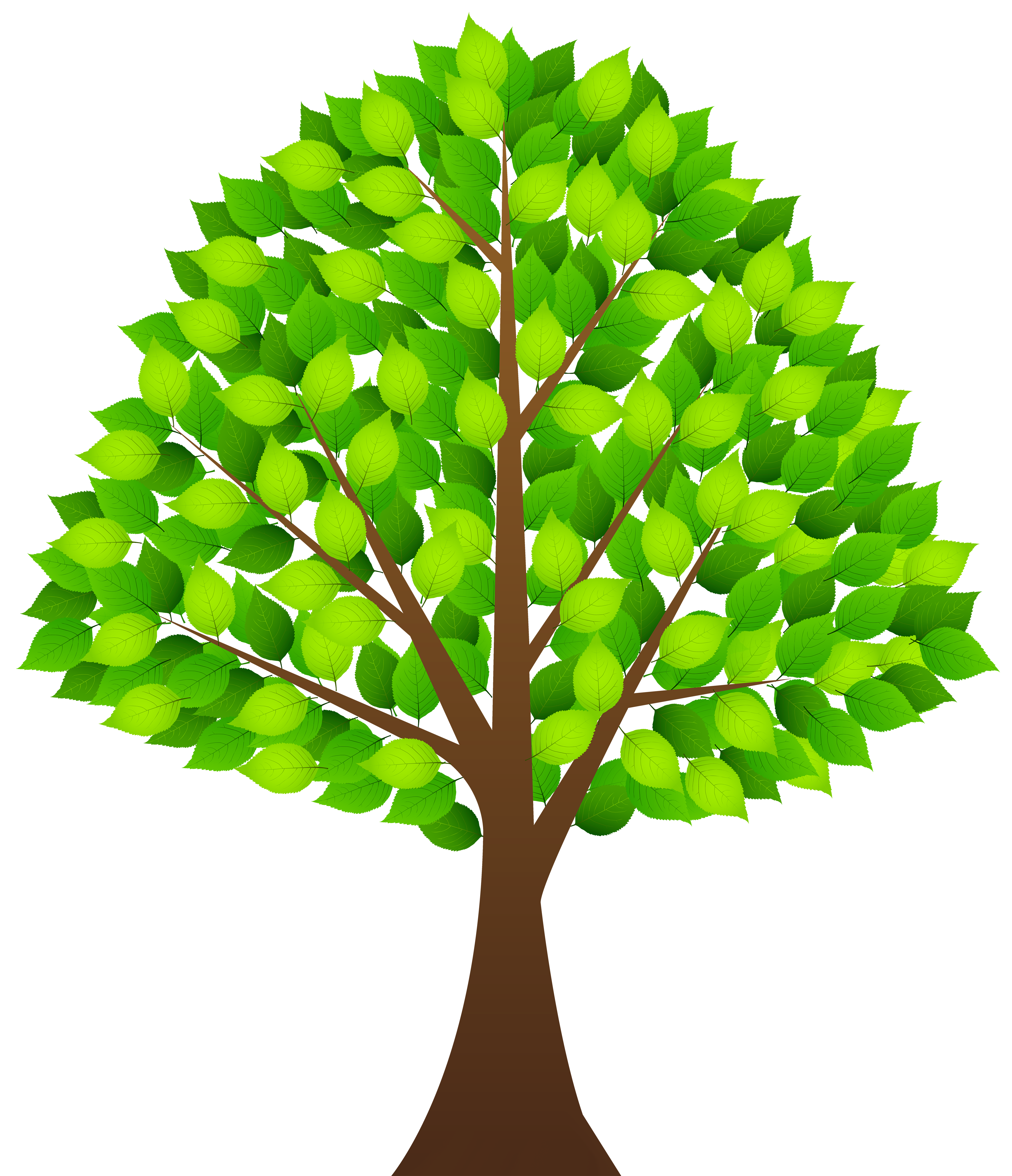 Tree with Green Leaves Transparent PNG Clip Art Image | Gallery ...