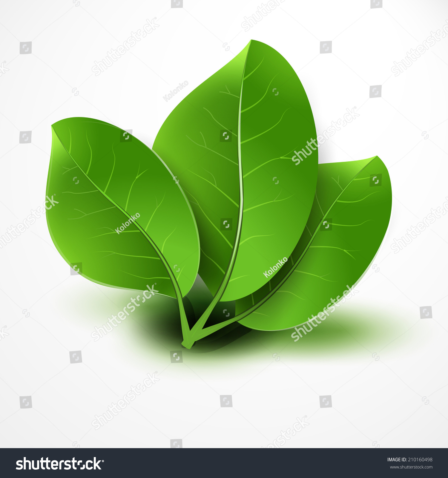 Abstract Green Leafs Background Stock Illustration 210160498 ...