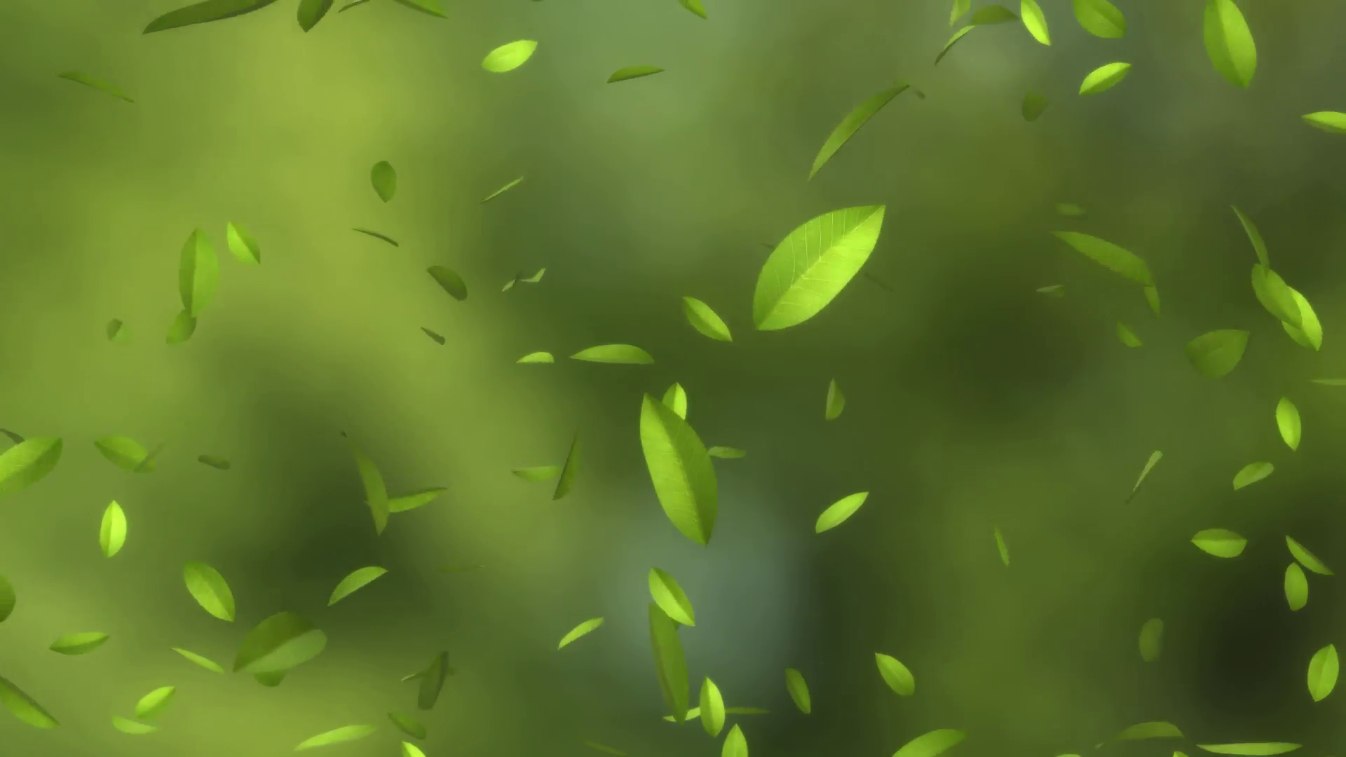 falling green leaves - looped and alpha masked Motion Background ...