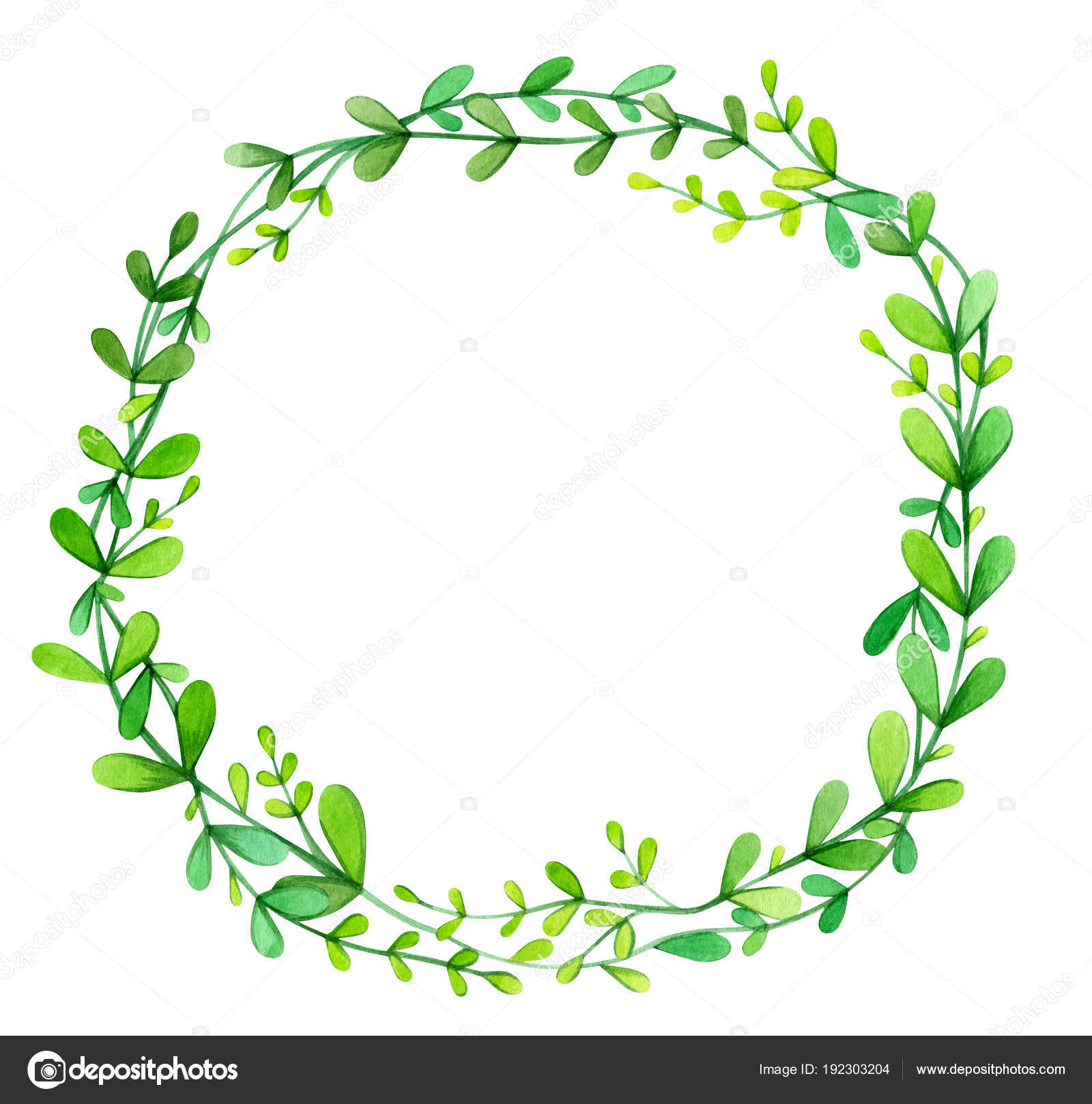 Green Leaves Circle Frame White Background — Stock Photo © rvika ...