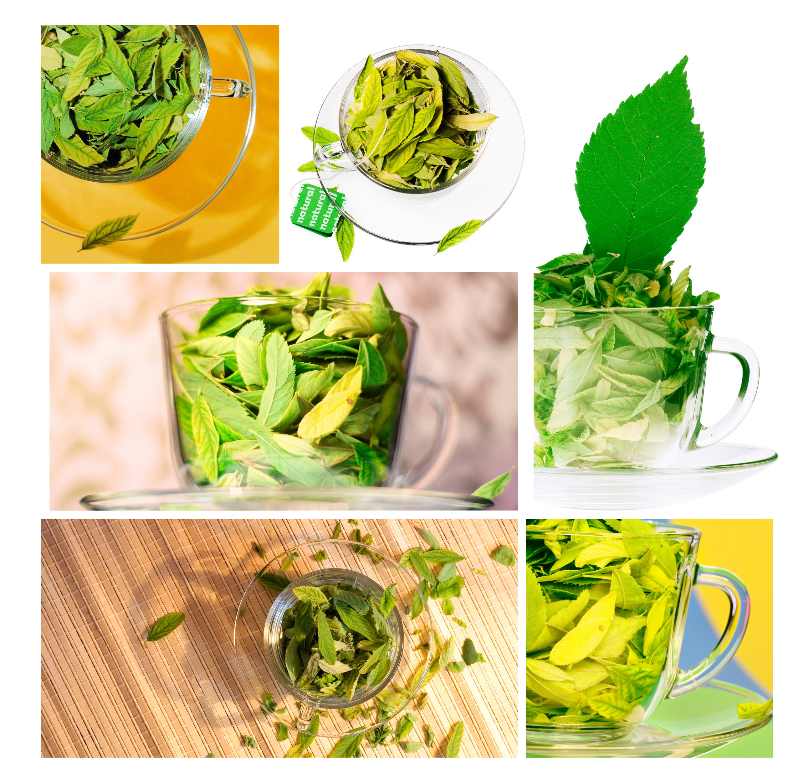 Green leaves in cups photo