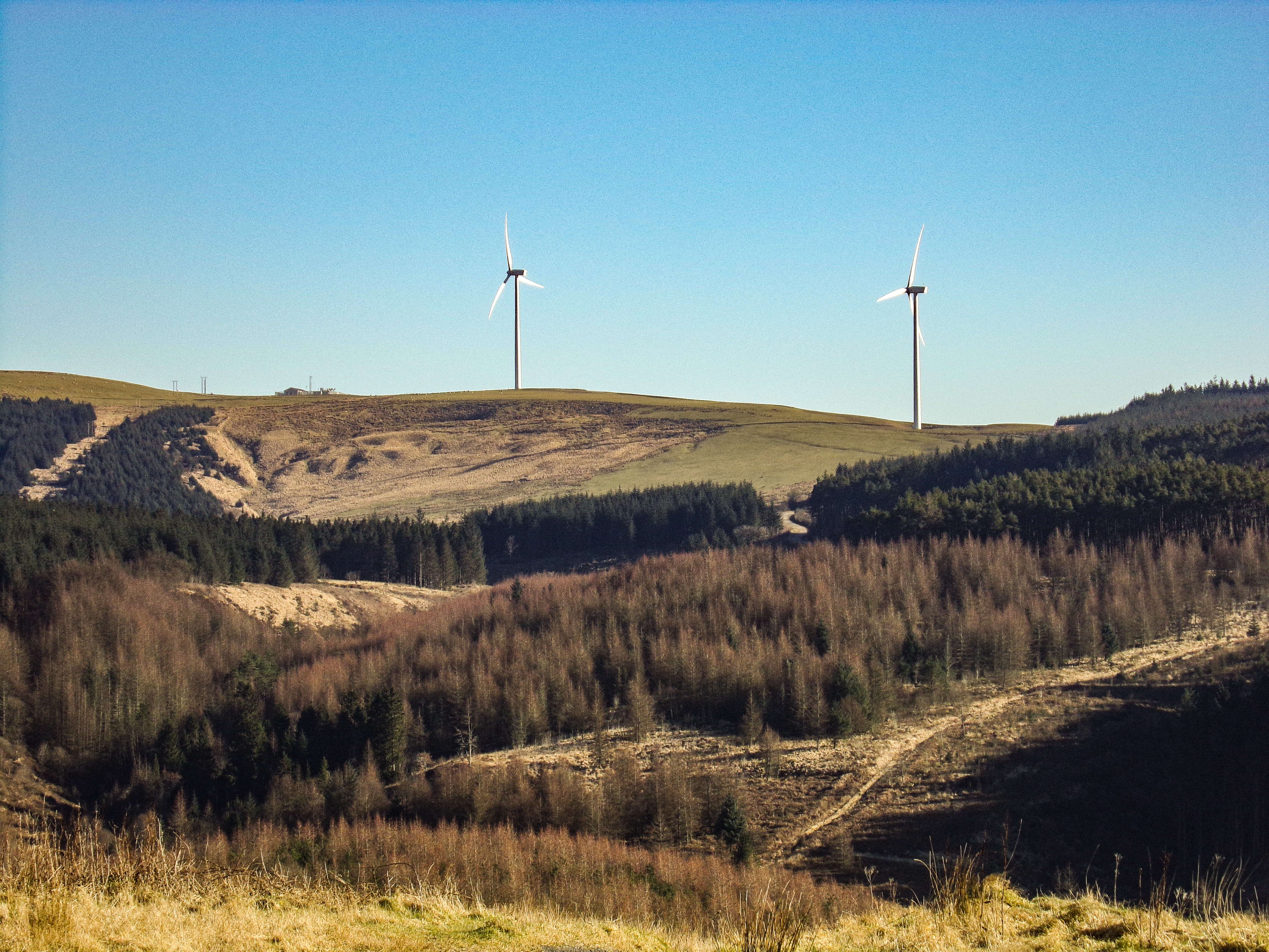 Green Meadow Under Blue Sky, Alternative energy, Production, Wind turbines, Wind turbine, HQ Photo