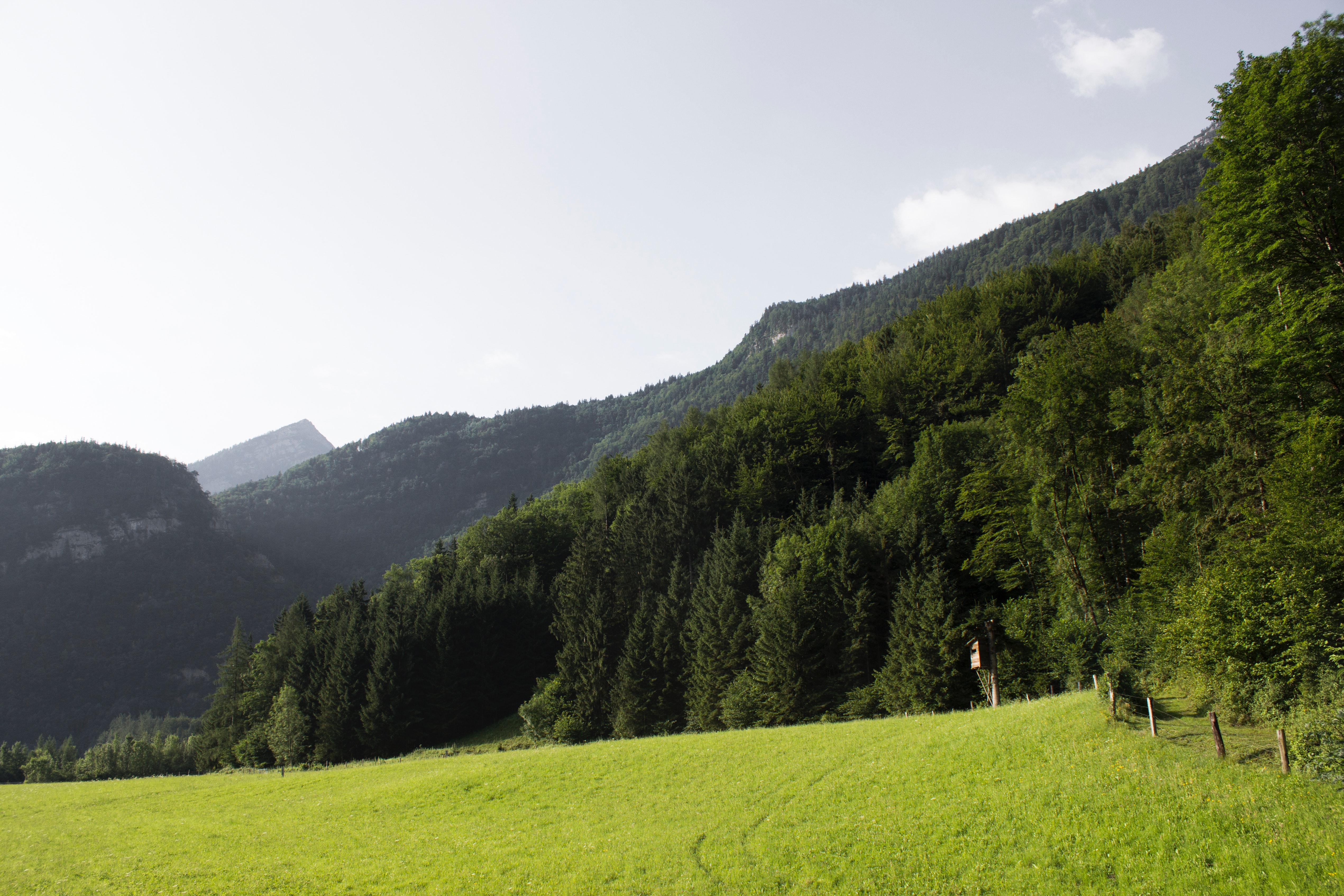 Free stock photo of austrian mountain, green mountain, mountain