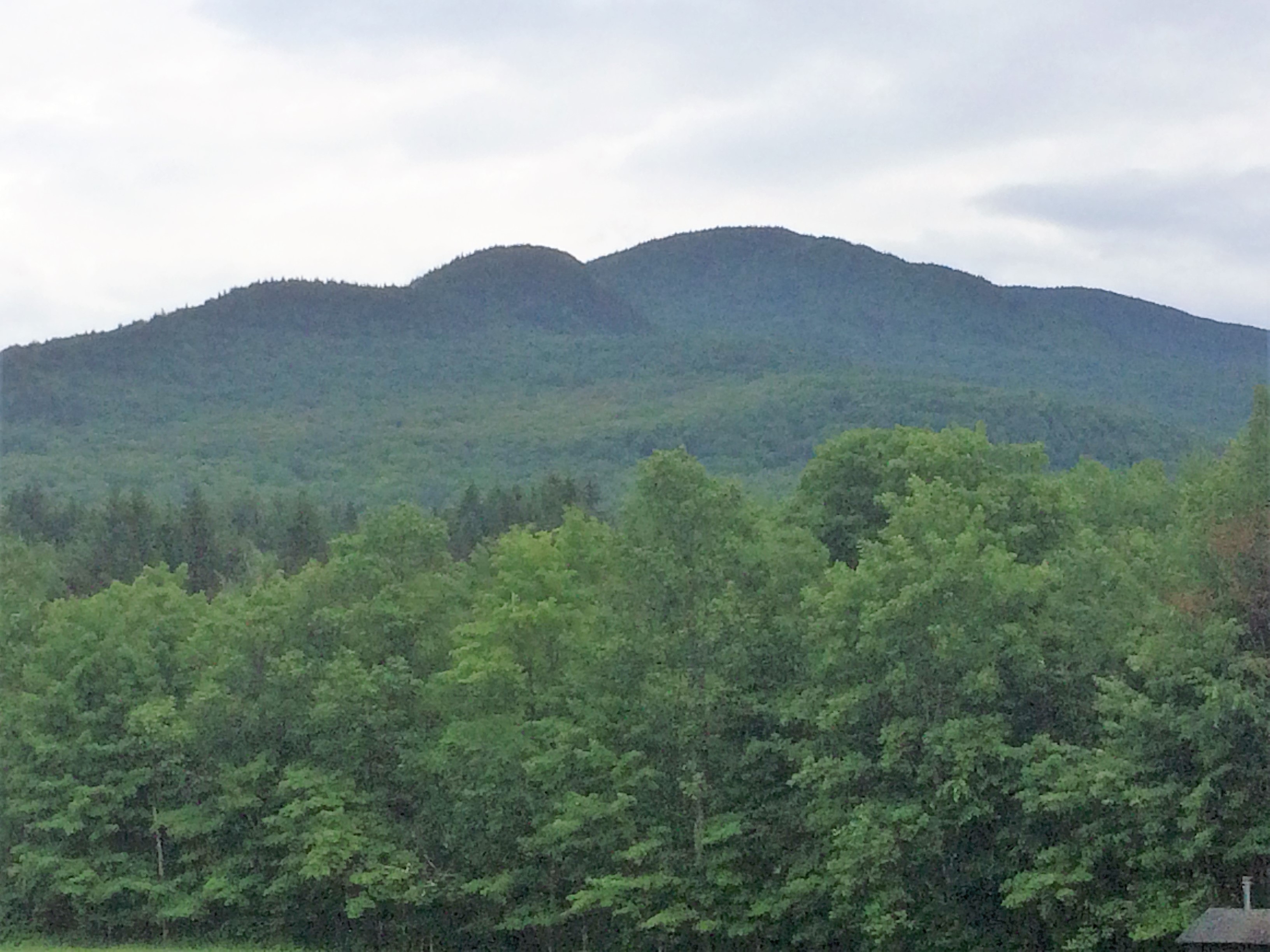 Stowe Pinnacle; Vermont Green Mountains Hike – Eastcoasthiker.com