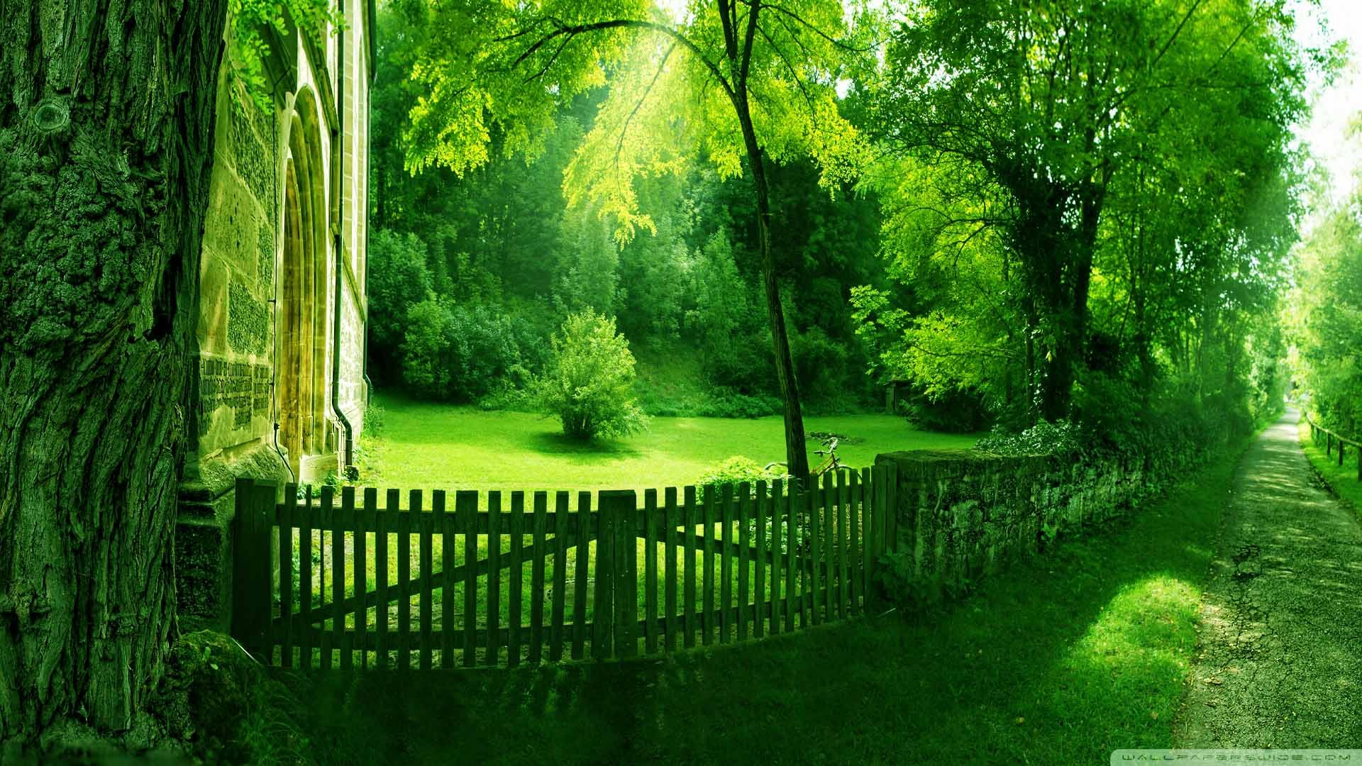 Green Nature wallpaper | 1920x1080 | 582710 | WallpaperUP