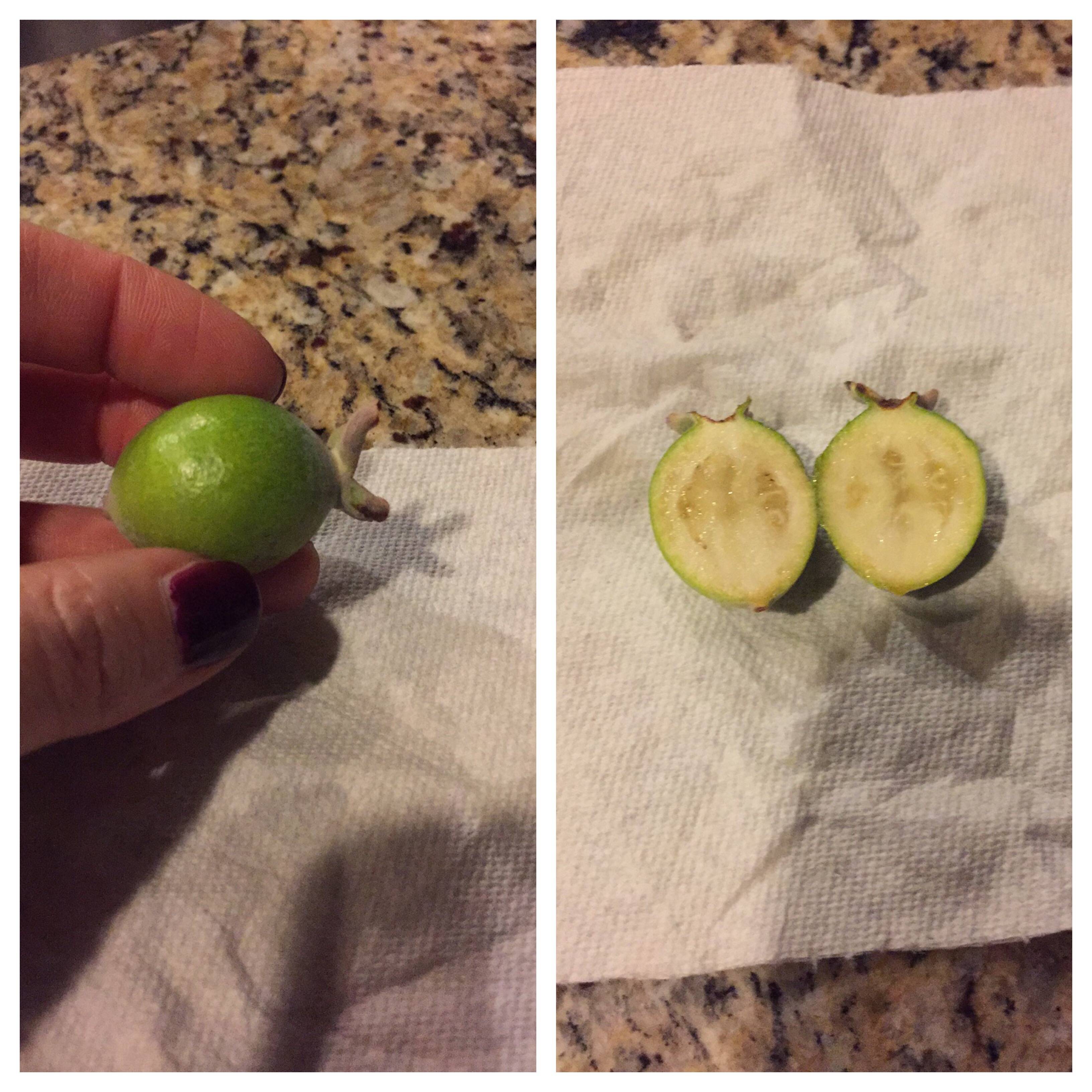 identification - What is this oval, small green fruit? - Gardening ...