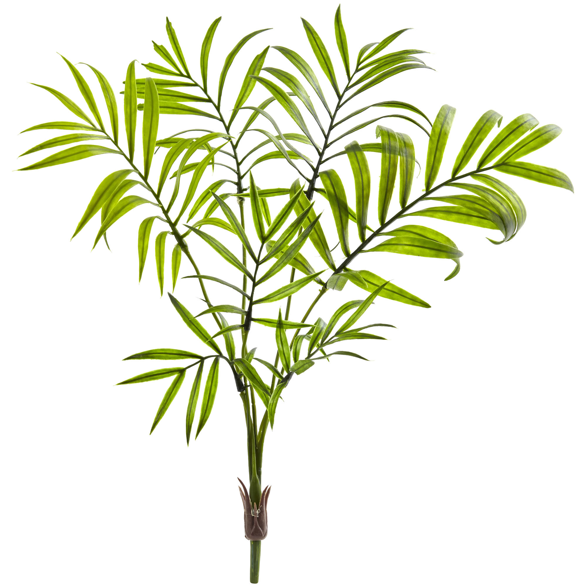 Bay Isle Home Green Mini Areca Palm Plant & Reviews | Wayfair