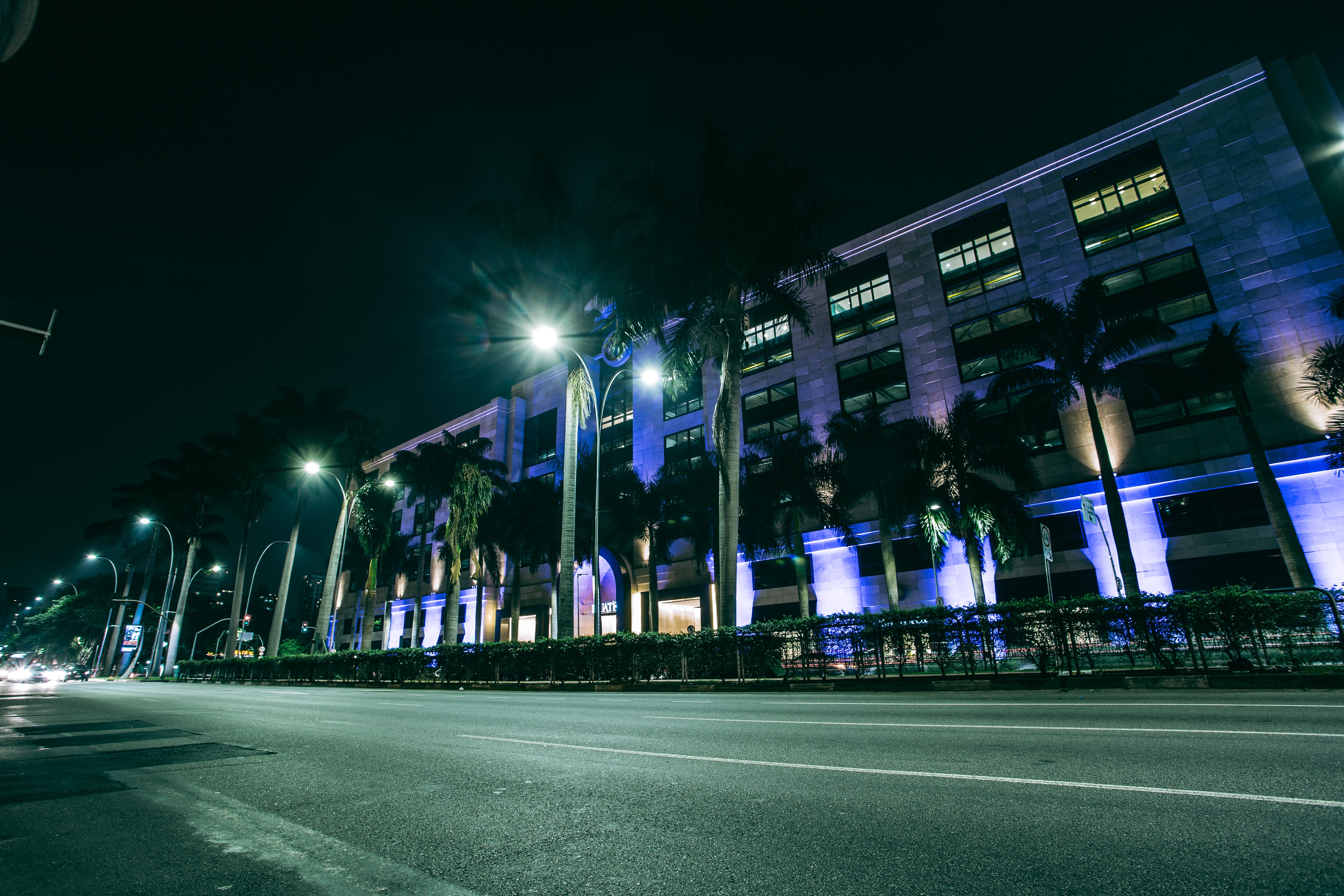 Green Palm Trees on Side Walk Near Gray Building at Nighttime, Architecture, Modern, Trees, Travel, HQ Photo