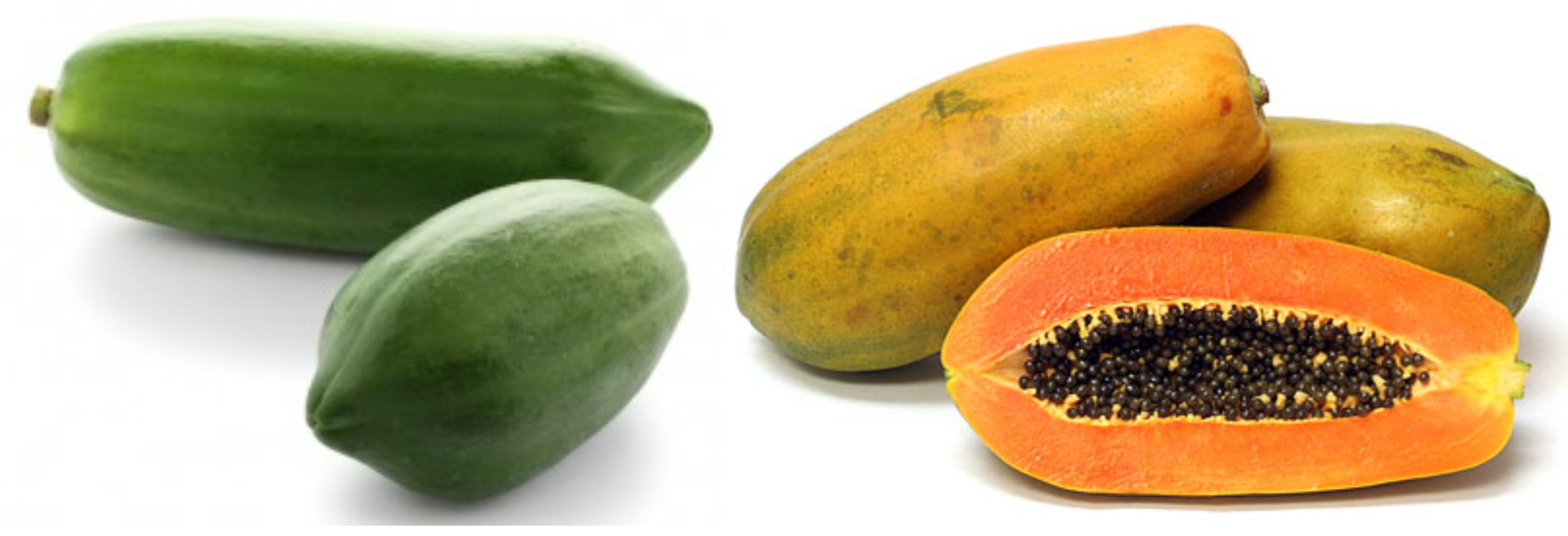 GREEN PAPAYA VS RIPE PAPAYA, WHICH ONE IS GOOD FOR YOUR HEALTH ...