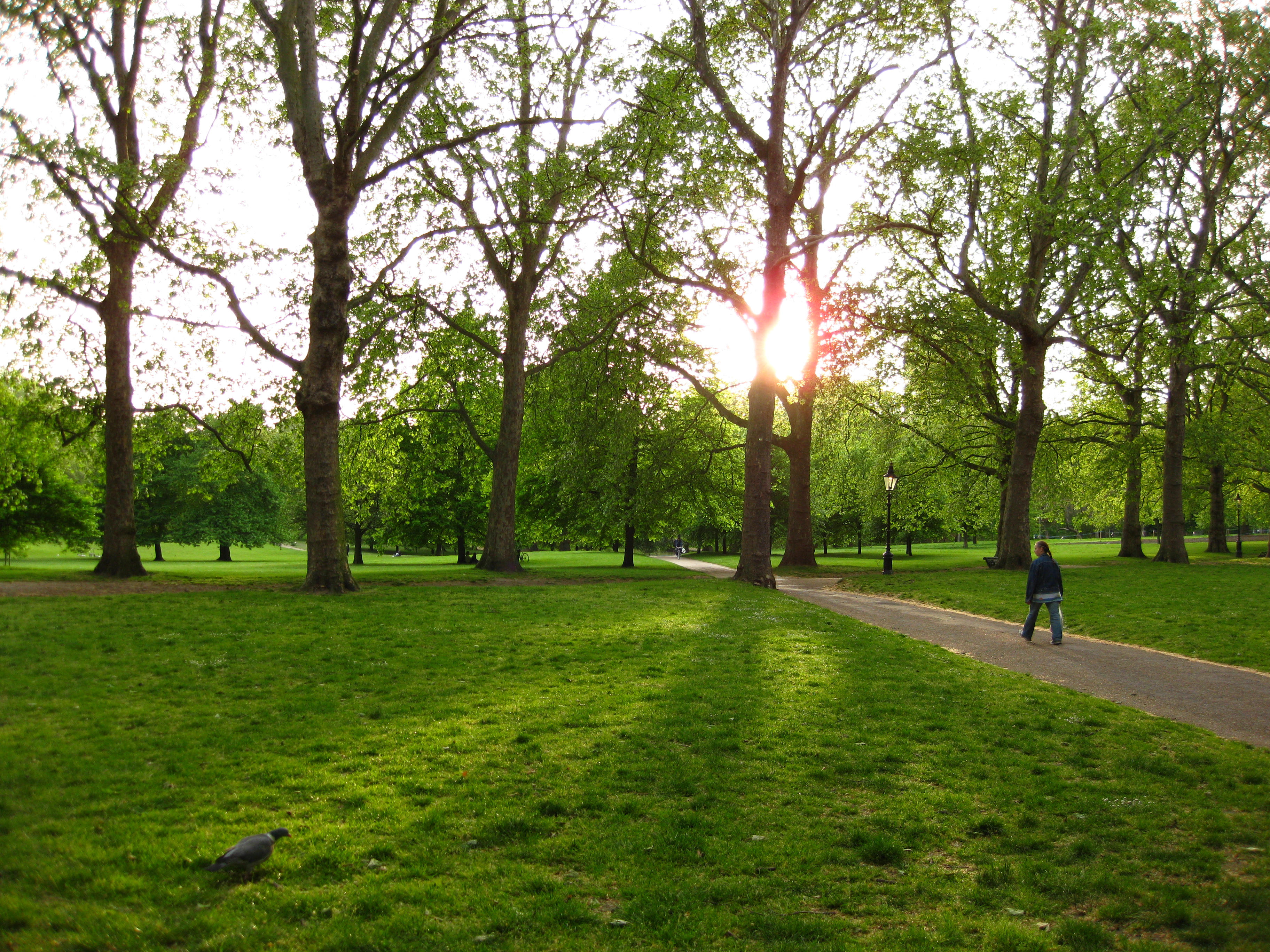 Green Park | photo page - everystockphoto