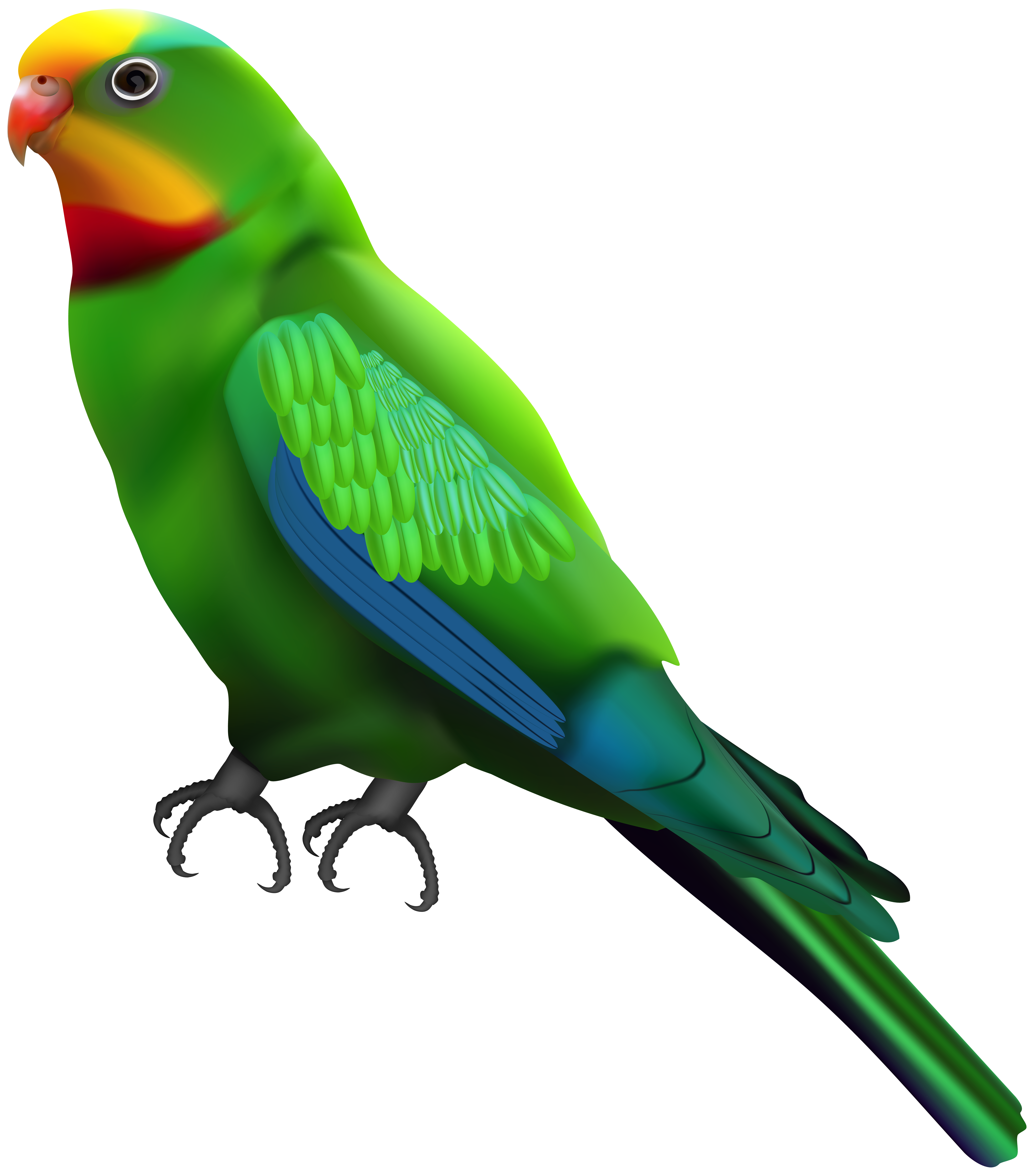 Green Parrot Transparent Clip Art Image | Gallery Yopriceville ...