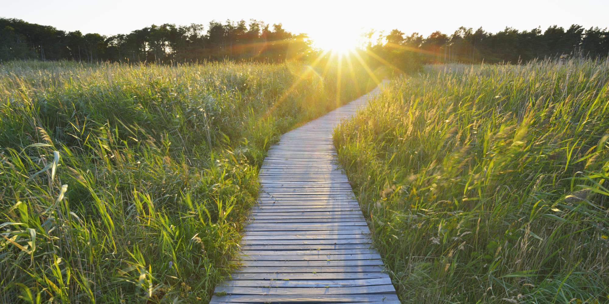 Find Your Own Path Through Life | HuffPost