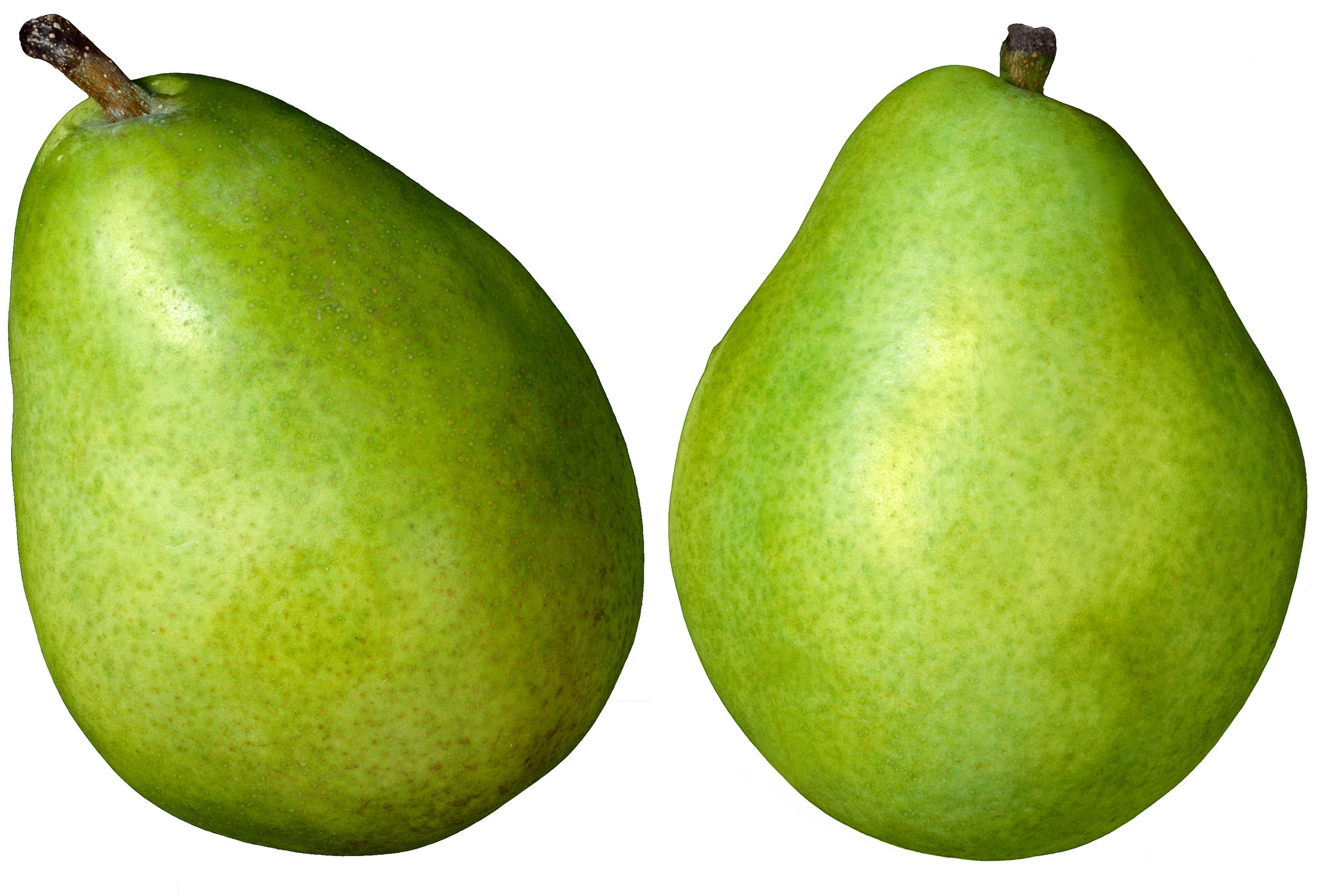 Pears | Bordeta Fruits