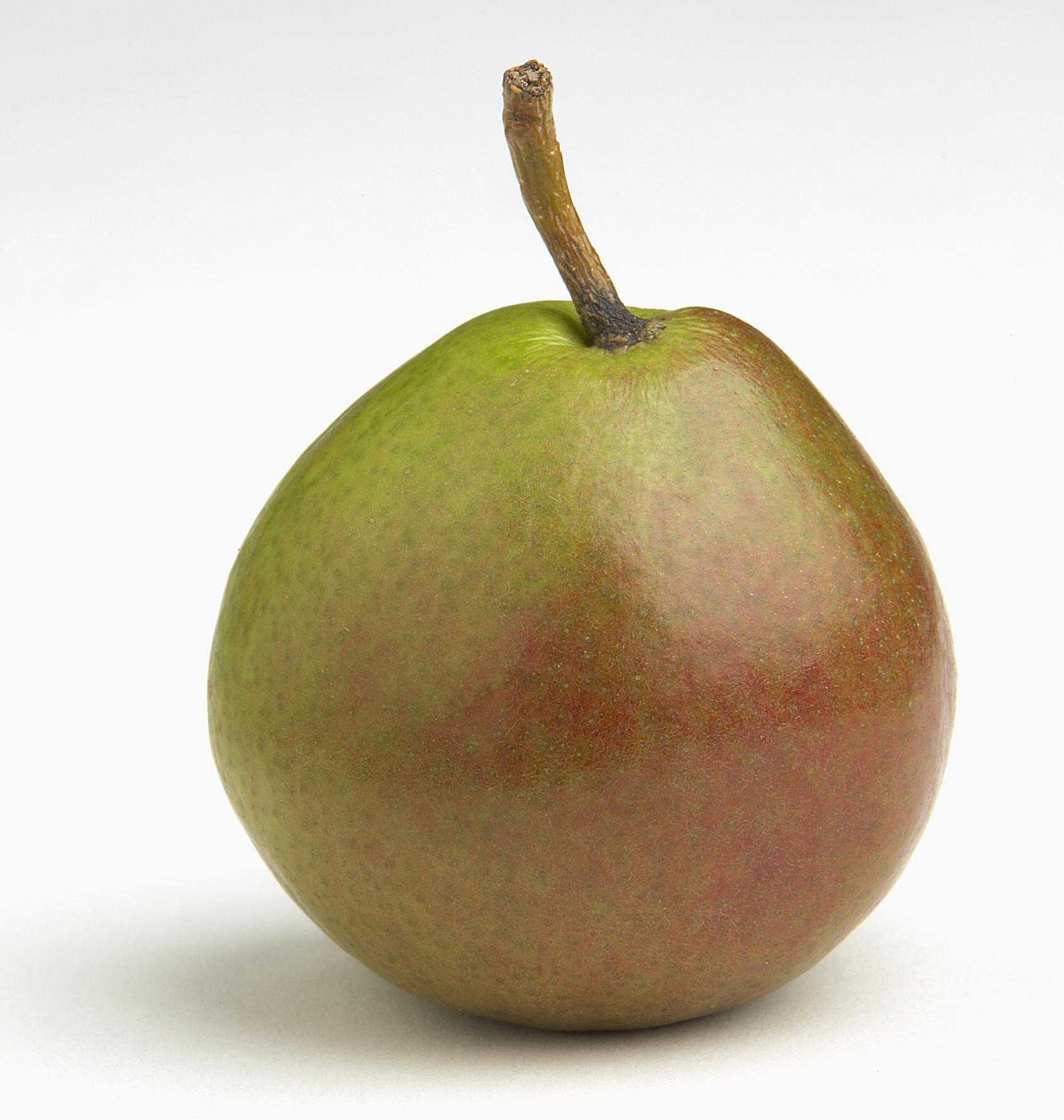 A Guide to Varieties of Pears - From Anjou to Williams