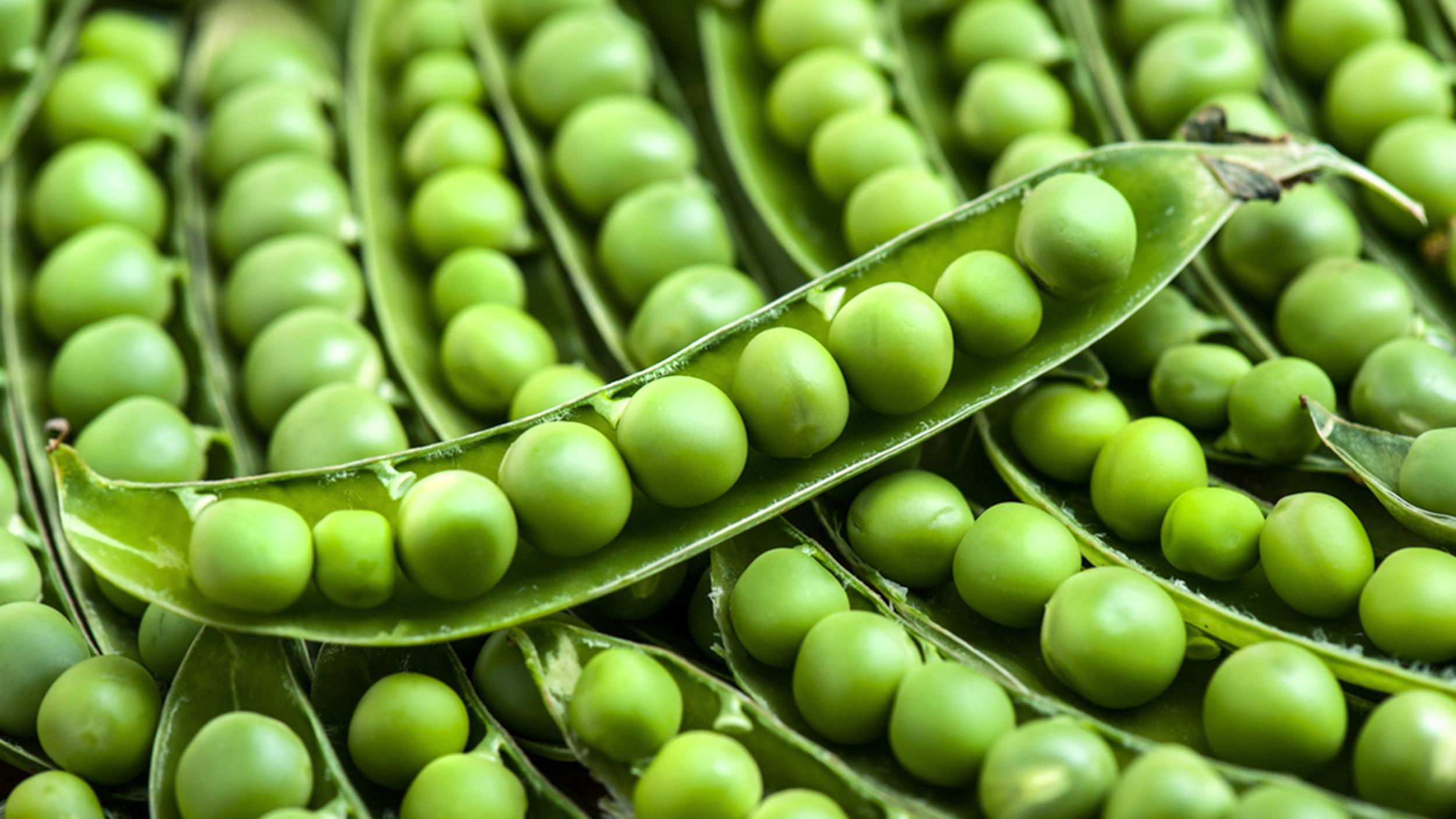 Pea protein: Is it the new soy?