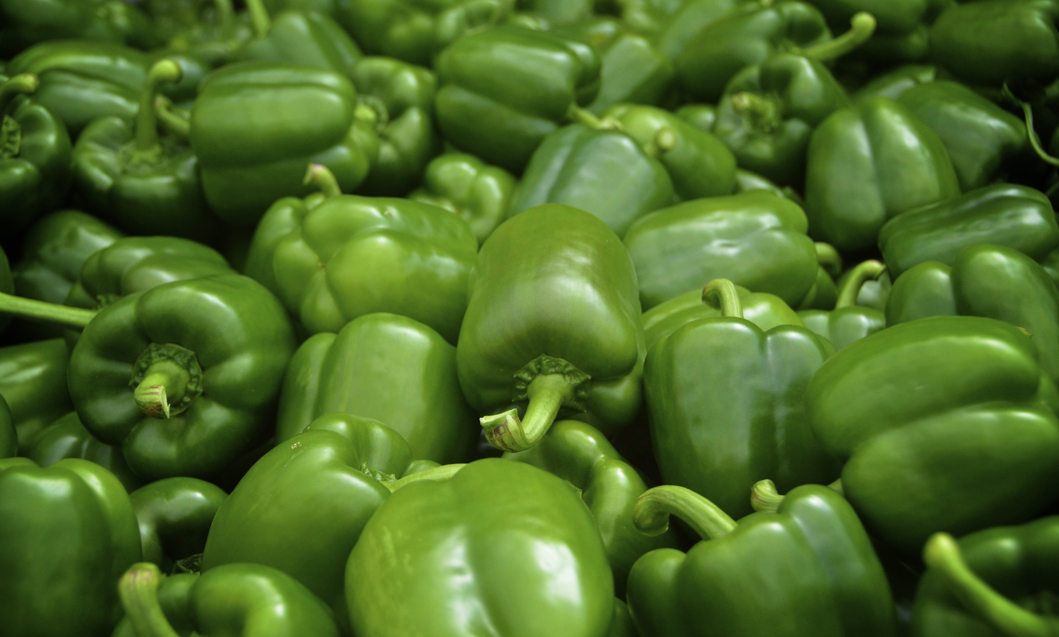 Bell Peppers | You As A Cook